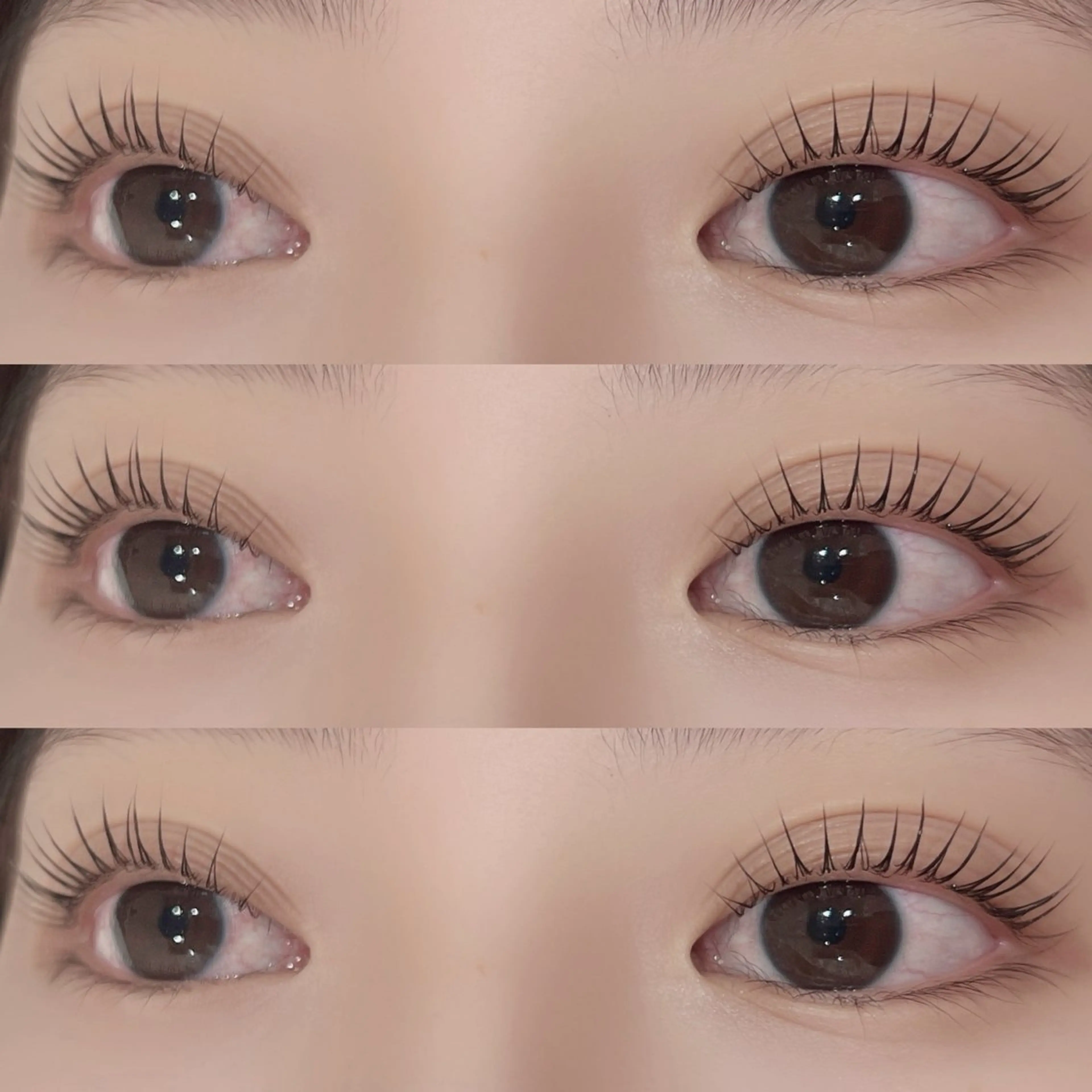 【再来】【コーティング仕上げ付🧸】まつ毛パーマ(デザインパーマ)の写真