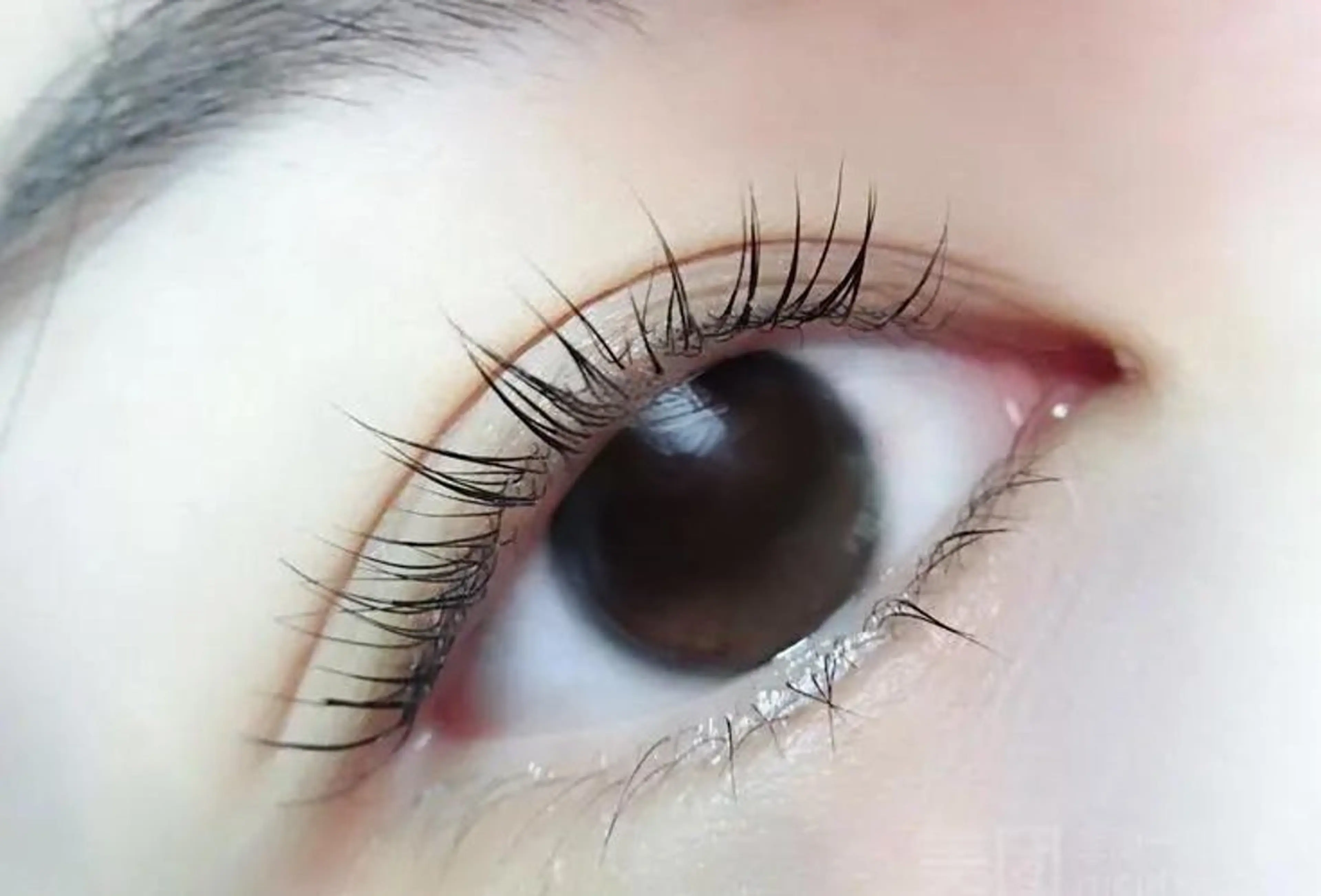 マツエク・マツパ 一重×まつ毛パーマ ベルス· アイラッシュのマツエク・マツパデザイン