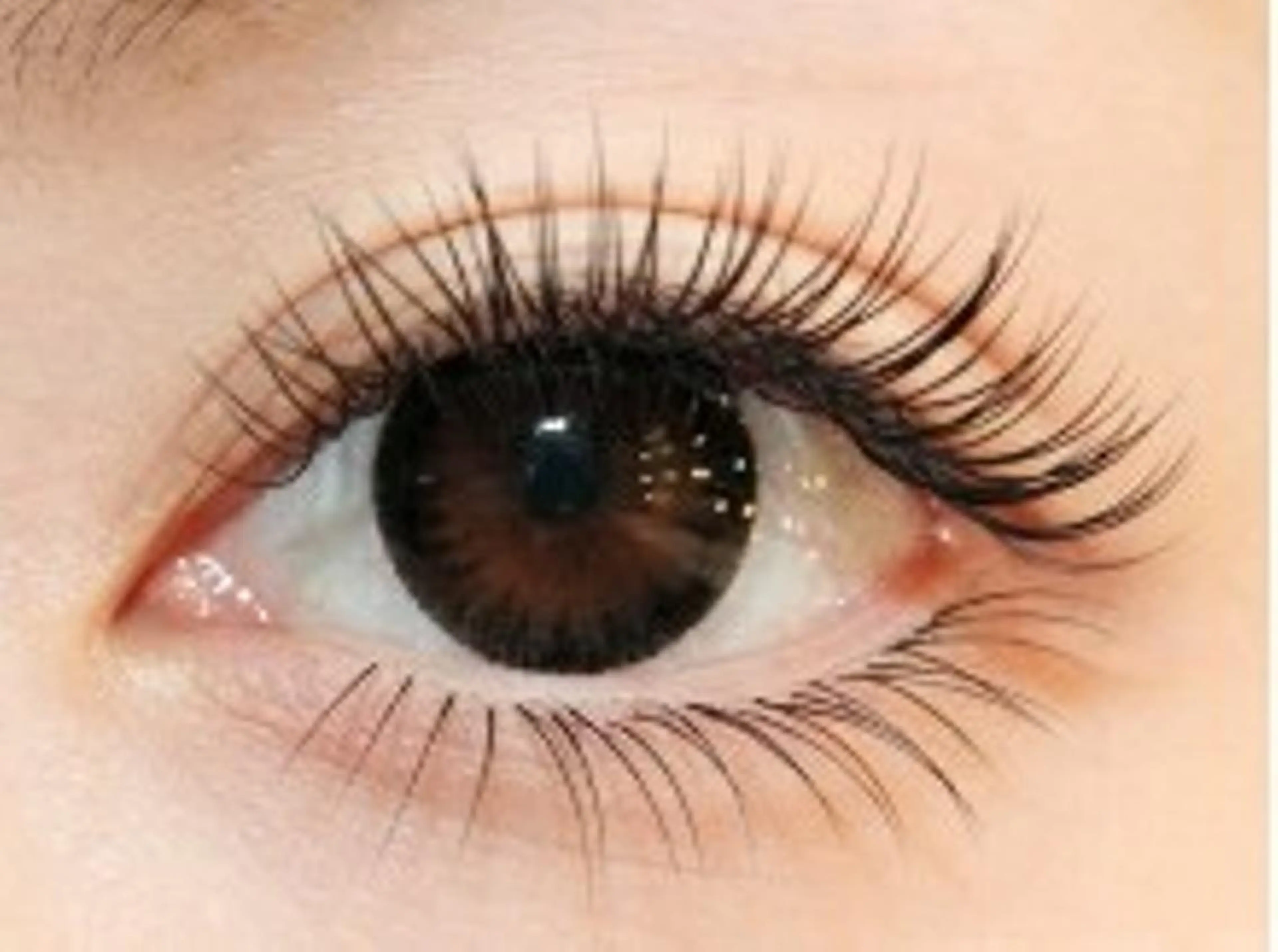 「ミニモ学割」　まつげカール&トリートメントの写真