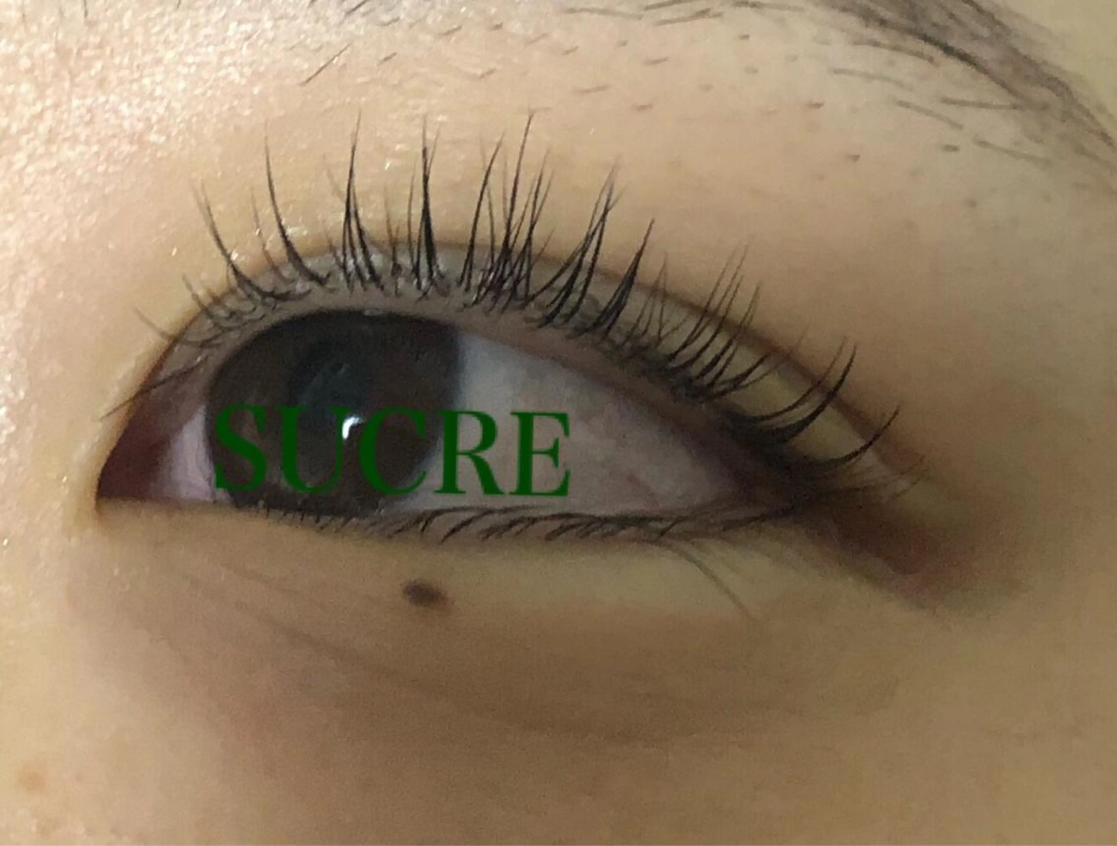 マツエク・マツパ Liz.&現ino 平田のマツエク・マツパデザイン