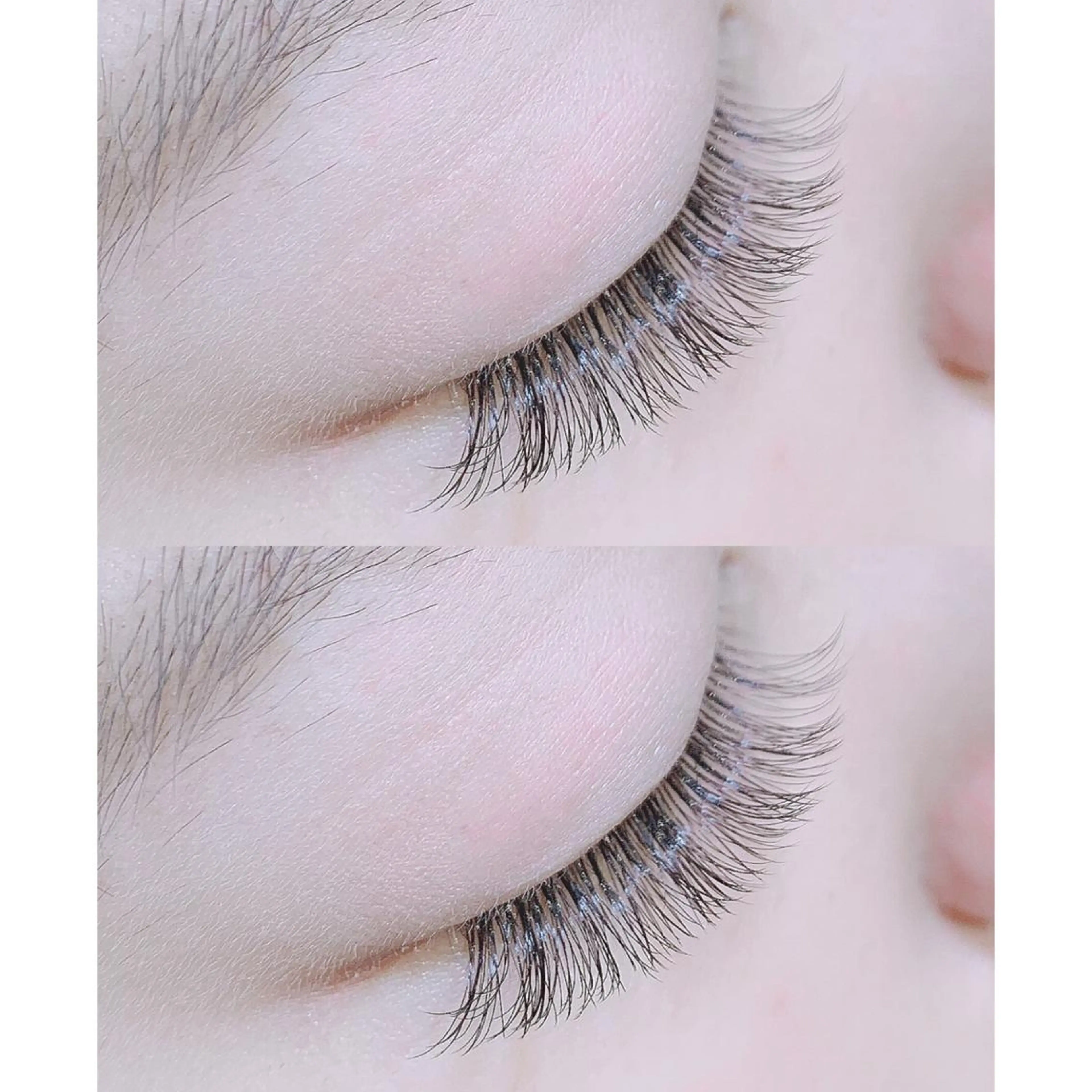 《 フラット 》100本 ♡の写真