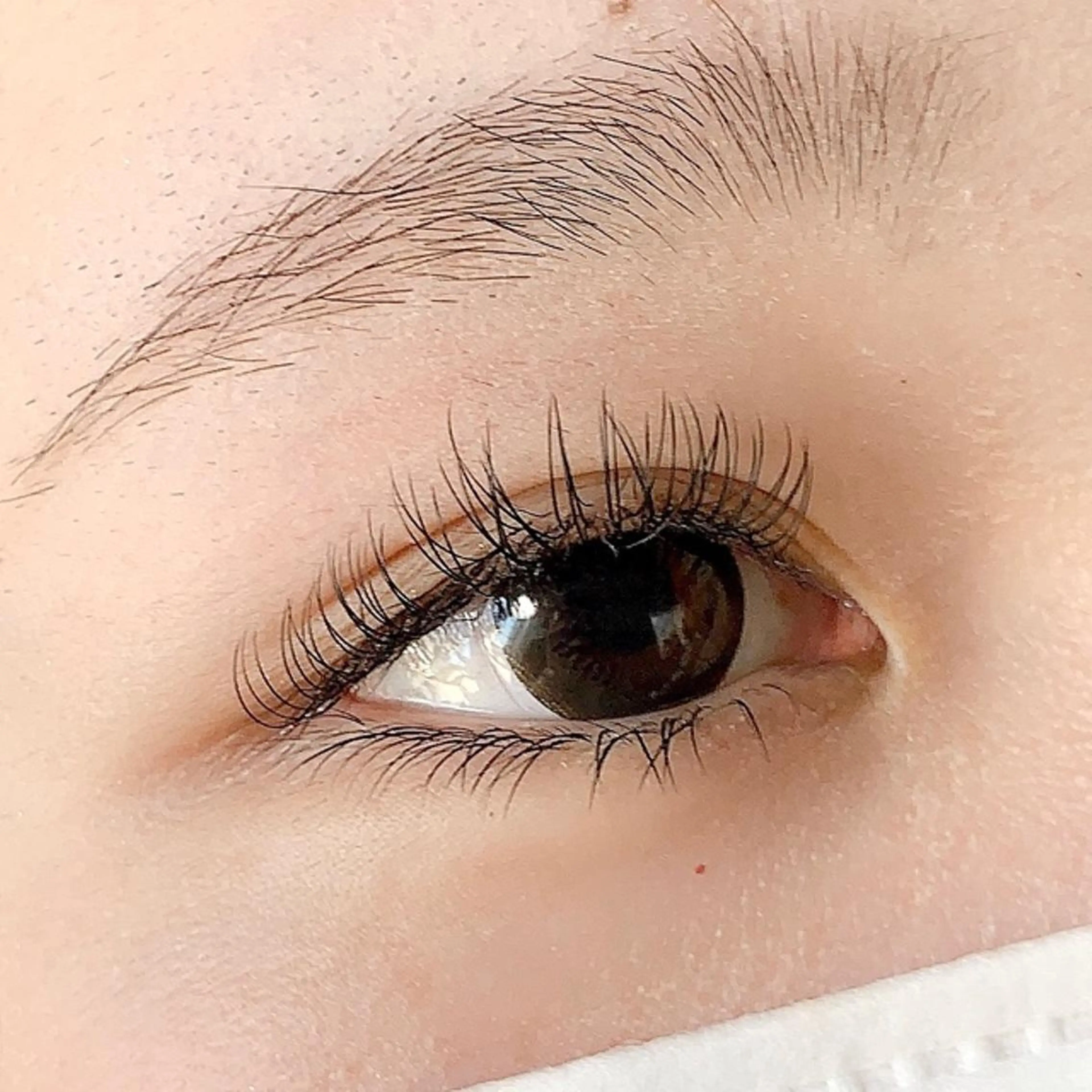 マツエク・マツパ Dカール フラットラッシュ 下まつげエクステ マツエク eye ジゼルのマツエク・マツパデザイン