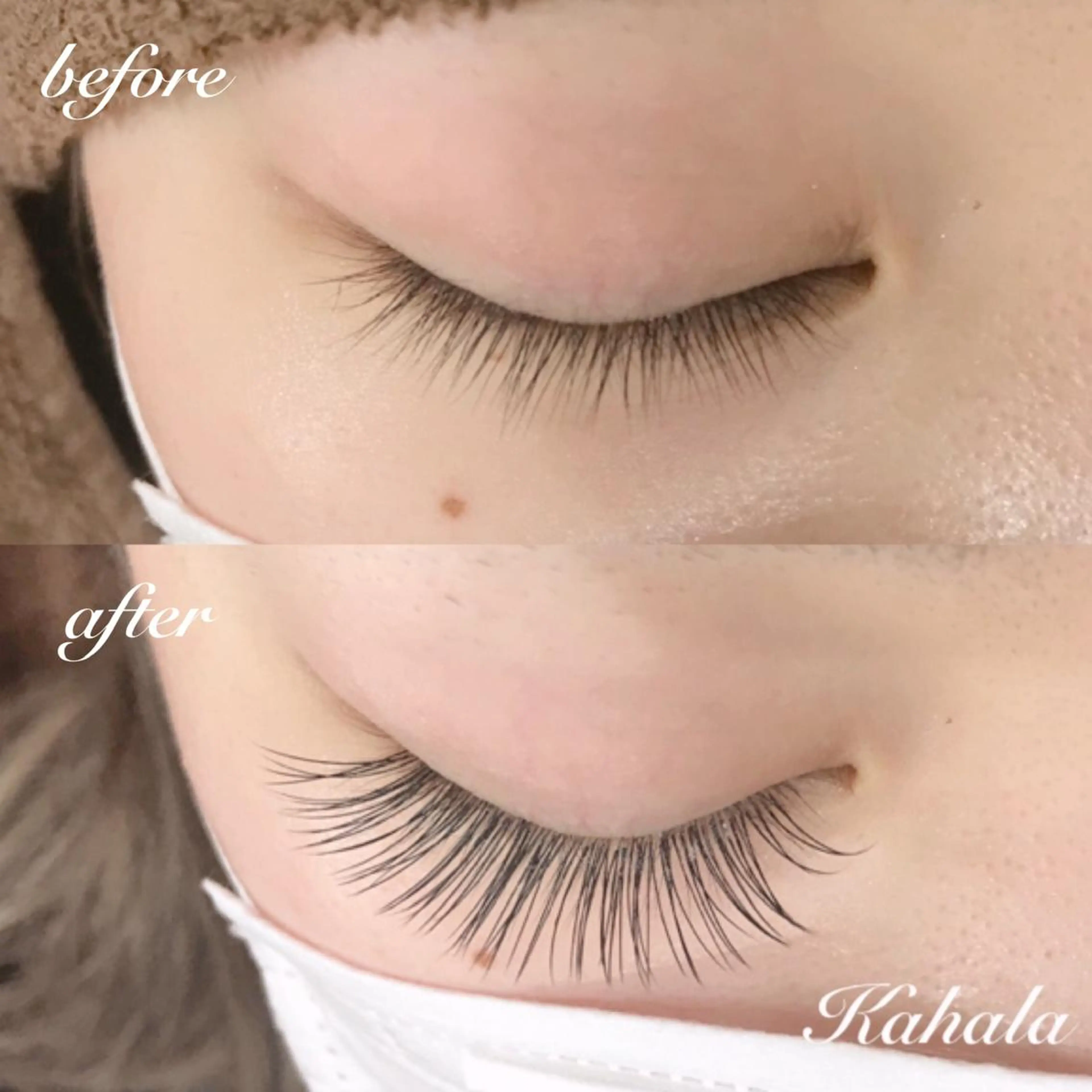 マツエク・マツパ Fujimoto 🦭⸝⋆꙳のマツエク・マツパデザイン