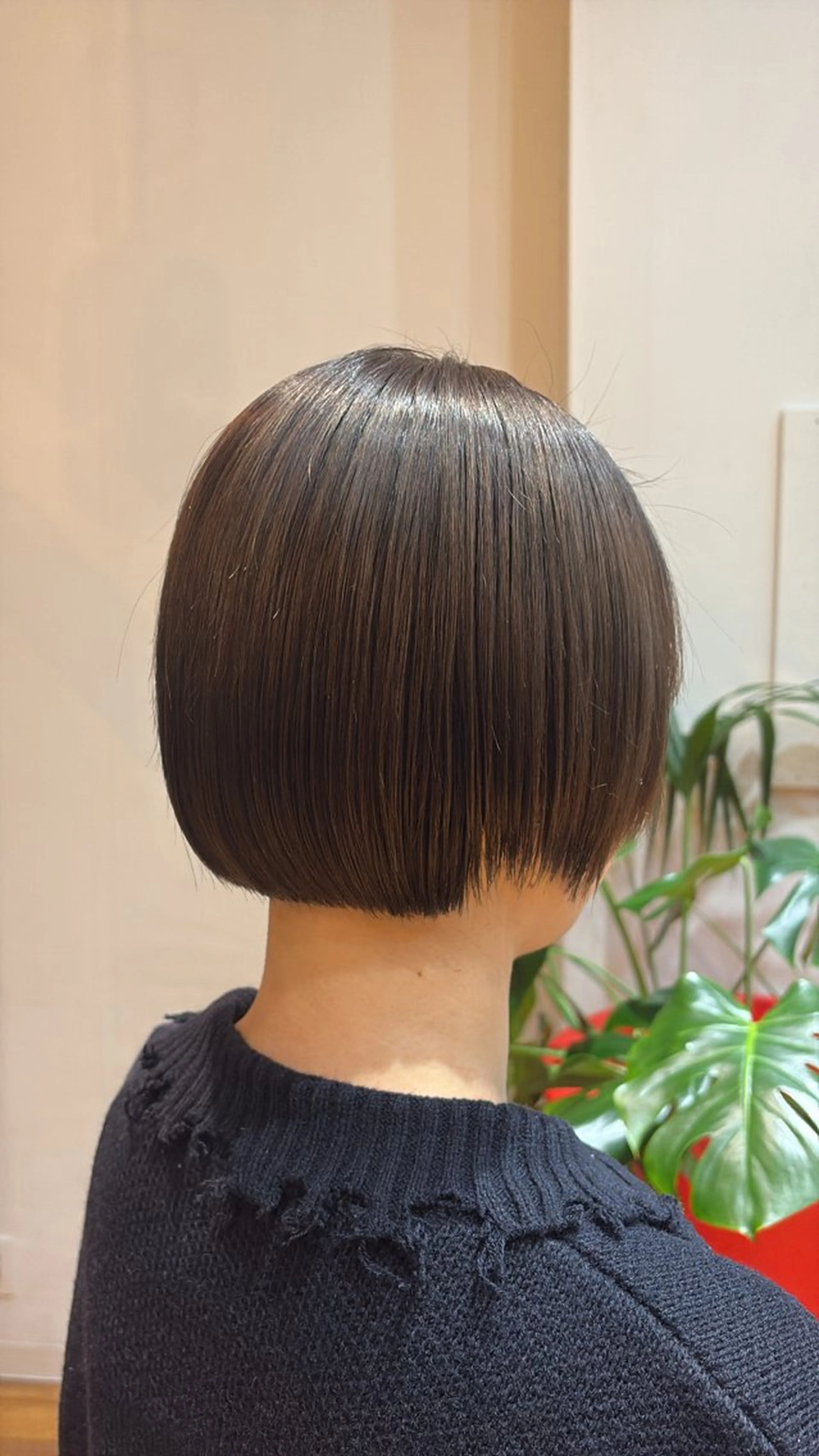 透明感カラーとトリートメント　⭐︎シャンプーブロー別途＋¥1500 ⭐︎ロング料金＋¥1100 ⭐︎土日＋¥1500の写真