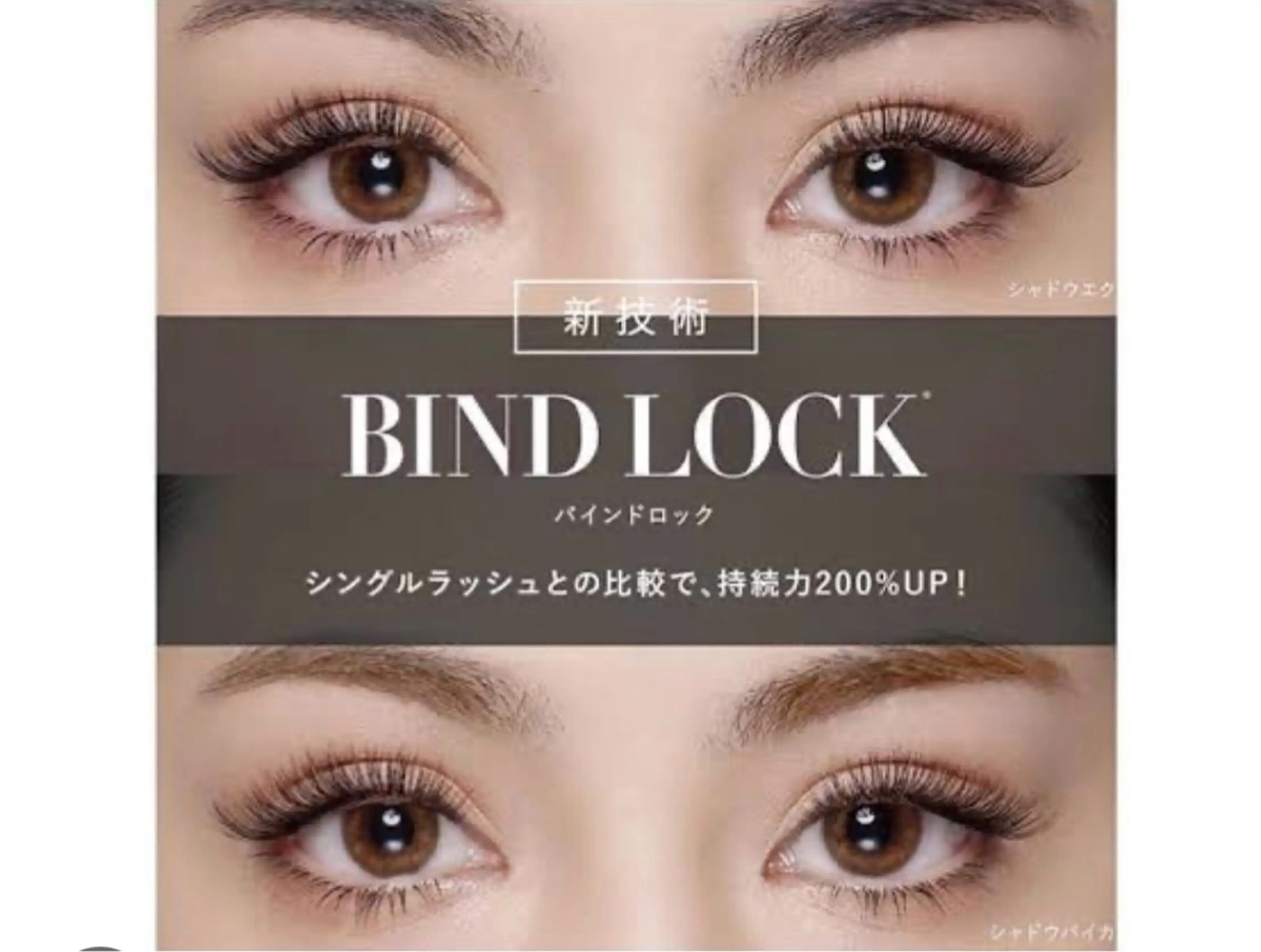 【バインドロック※フラットダブル】100束10500円オフ込※120束13500円/140束16500円の写真