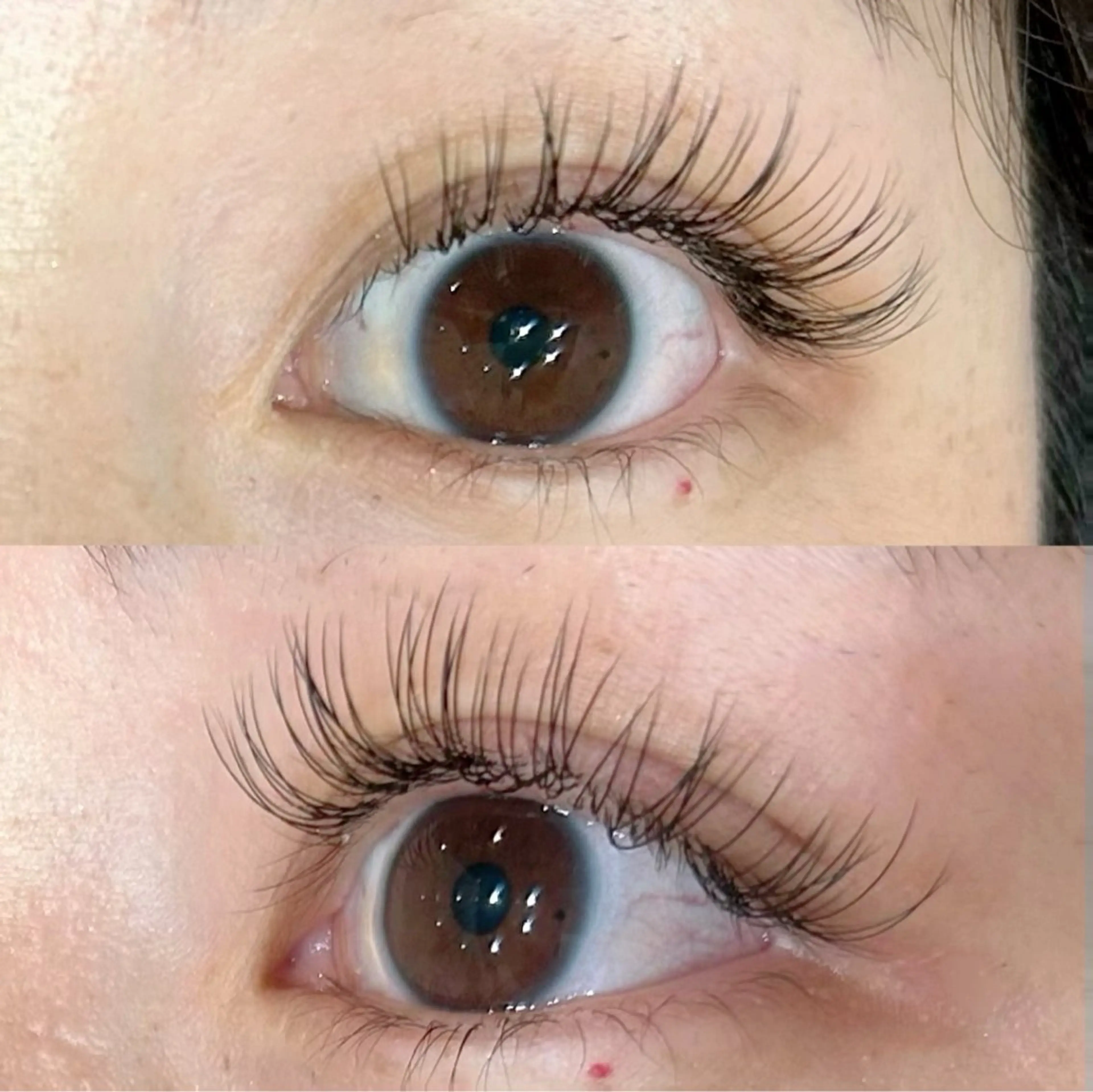 マツエク・マツパ KIMOTO 🐈‍⬛🤍のマツエク・マツパデザイン