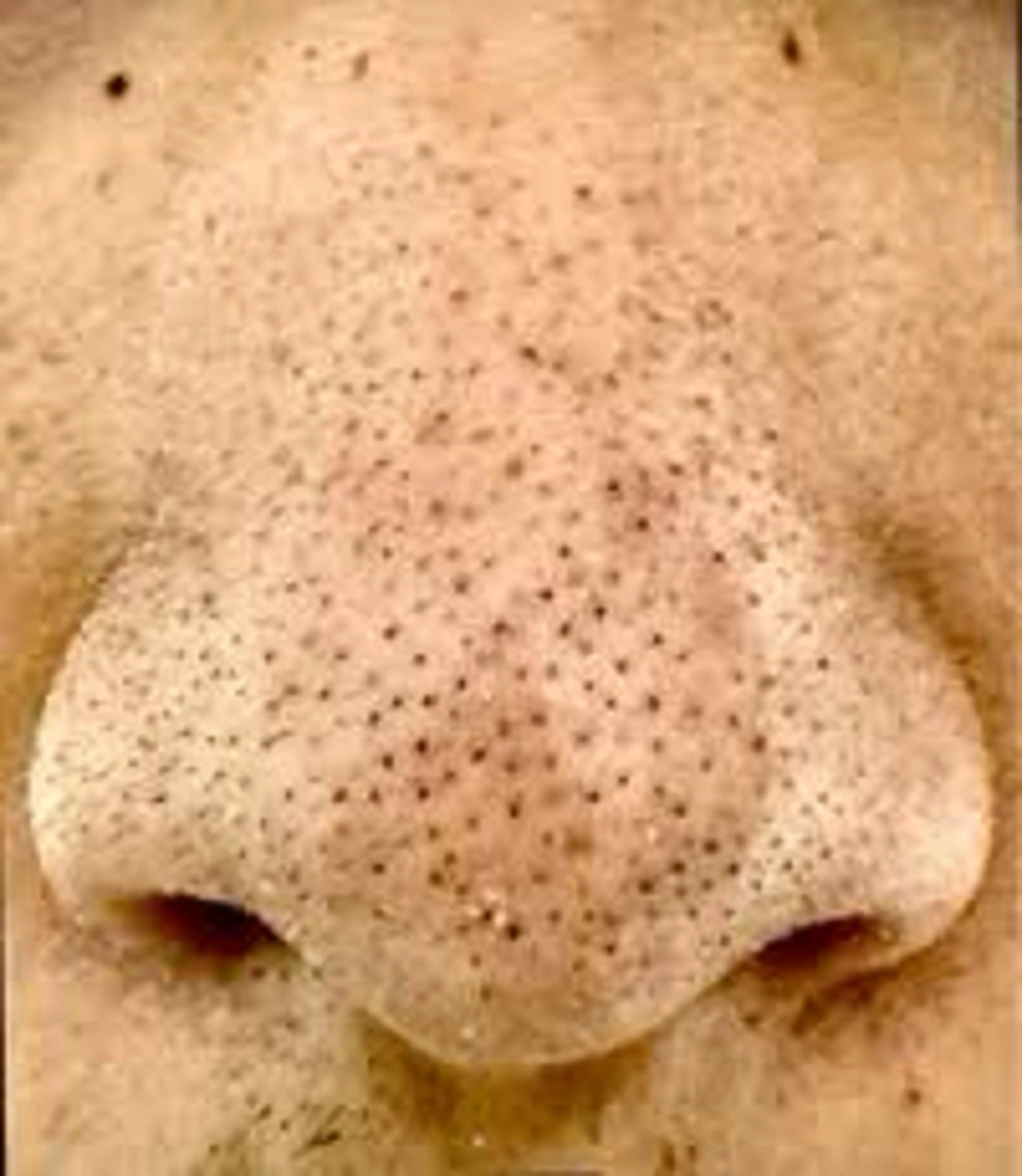 Moggy_ Ayaのエステ・リラクイメージ