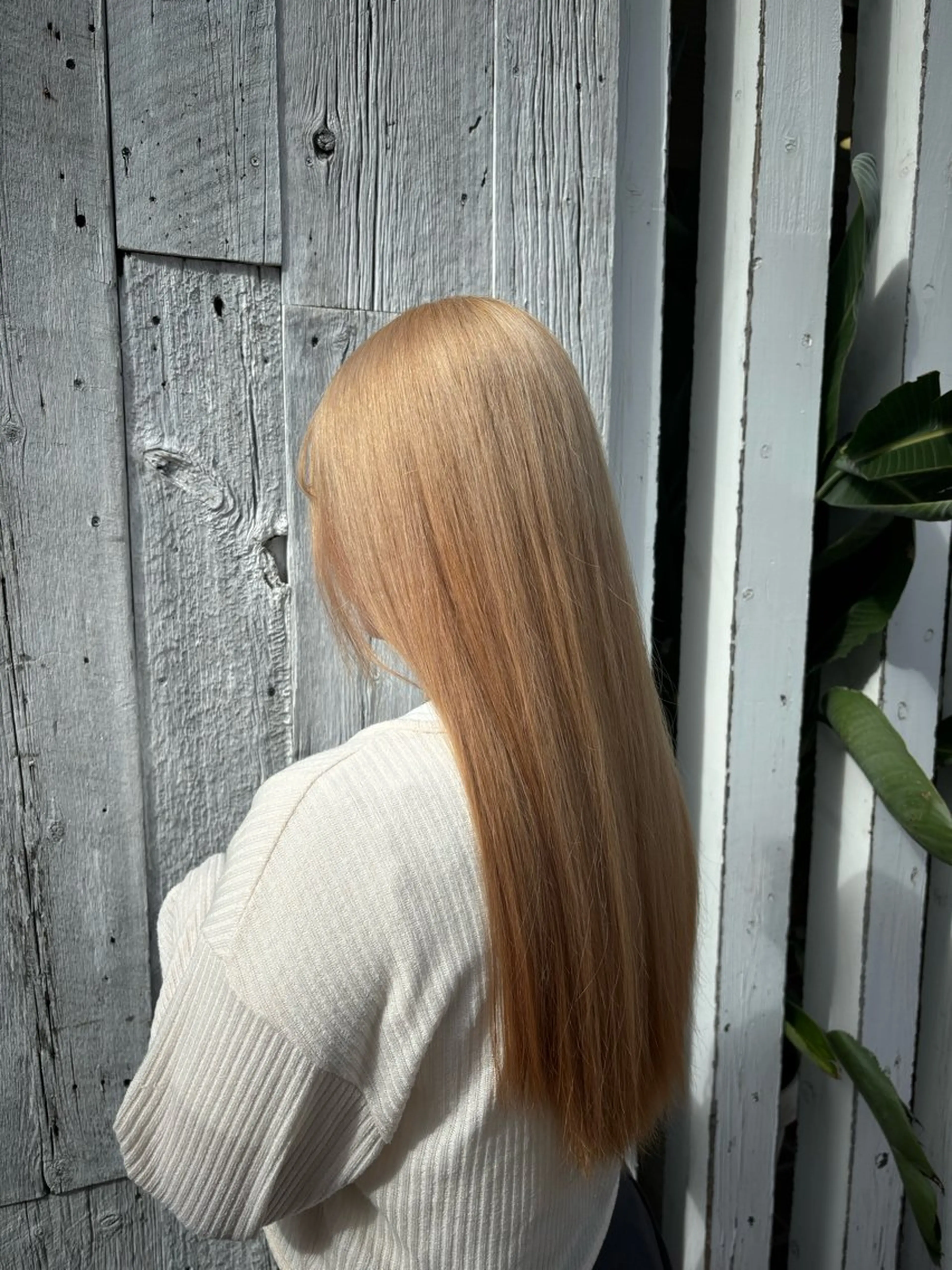 ロング カラー 🦋ハイトーン/ ブリーチ🥀森山陽向のヘアスタイル