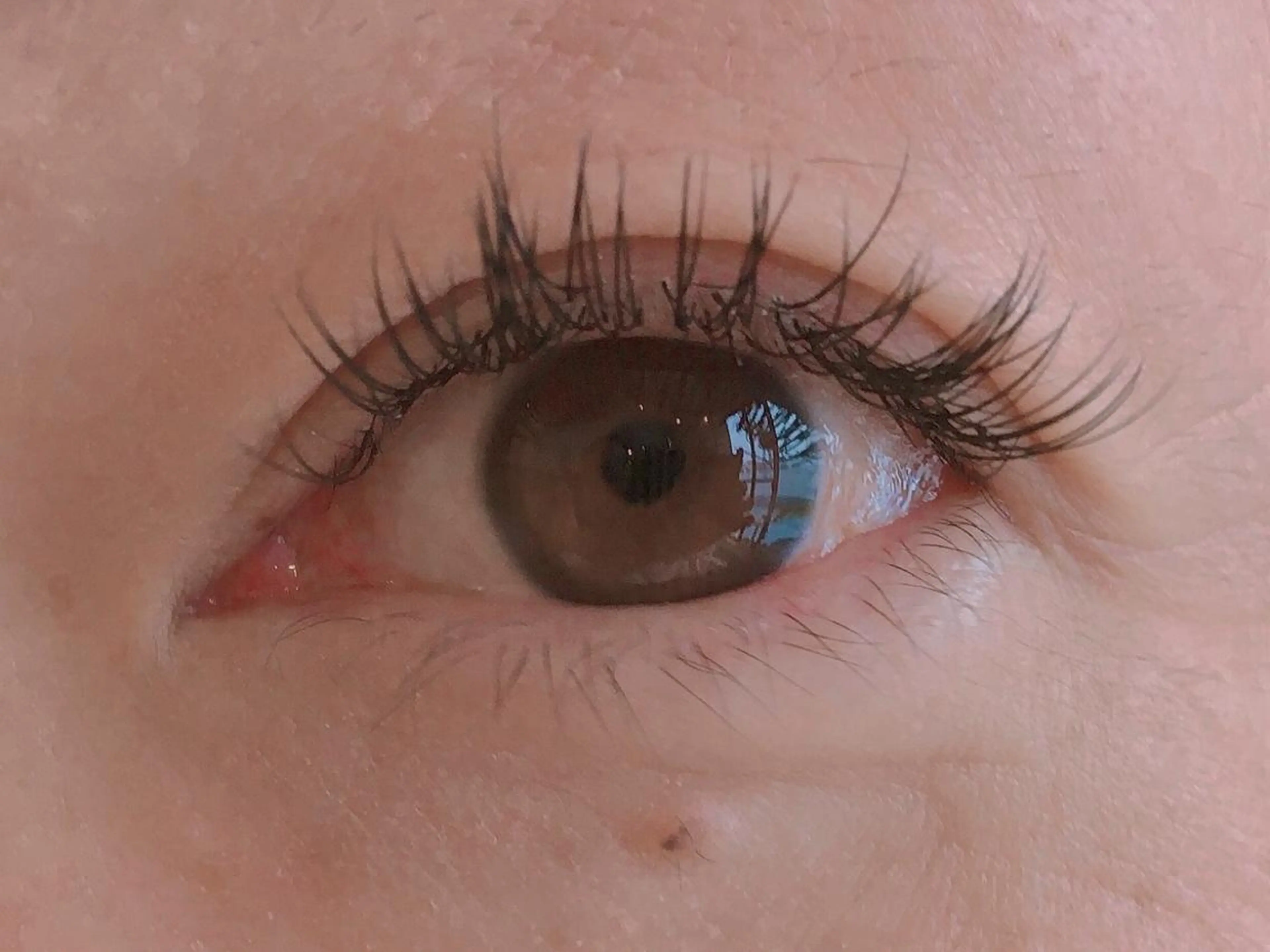 マツエク・マツパ フラットラッシュ mami saijoのマツエク・マツパデザイン