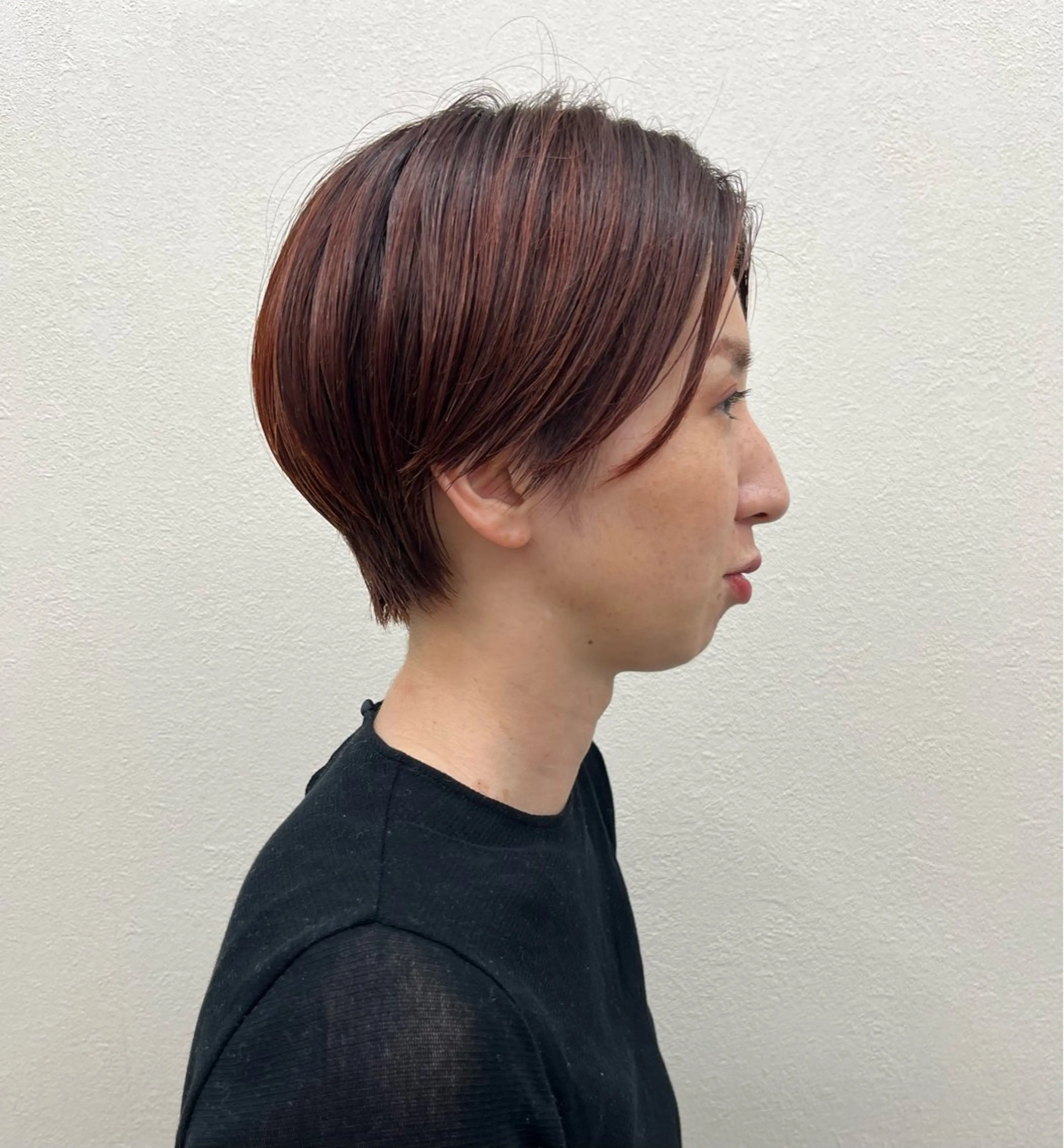 ショート カラー Hareru 豊田 修廣のヘアスタイル