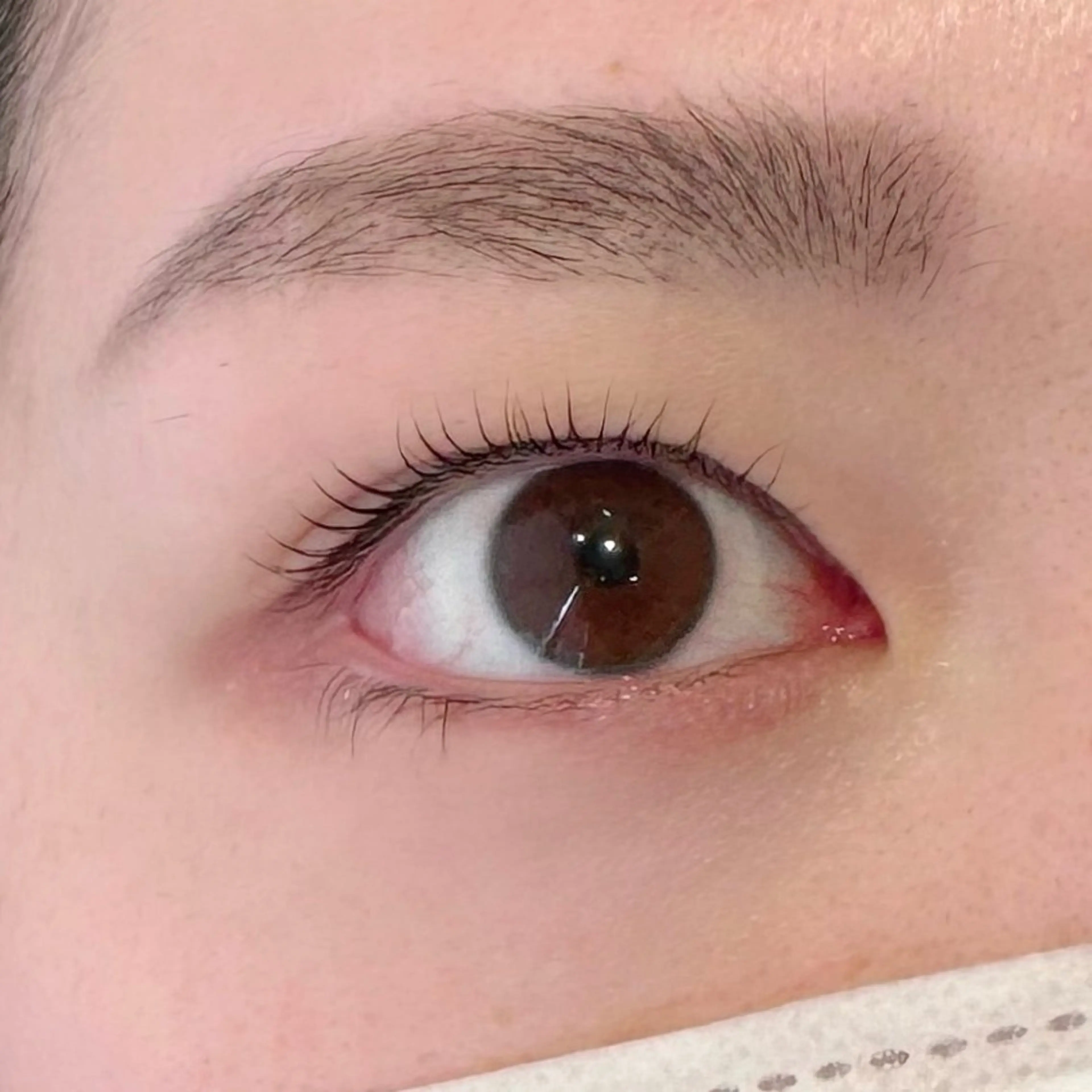 マツエク・マツパ ナチュラル カットモデル𓍲艶髪 🫧秋積日向のヘアスタイル