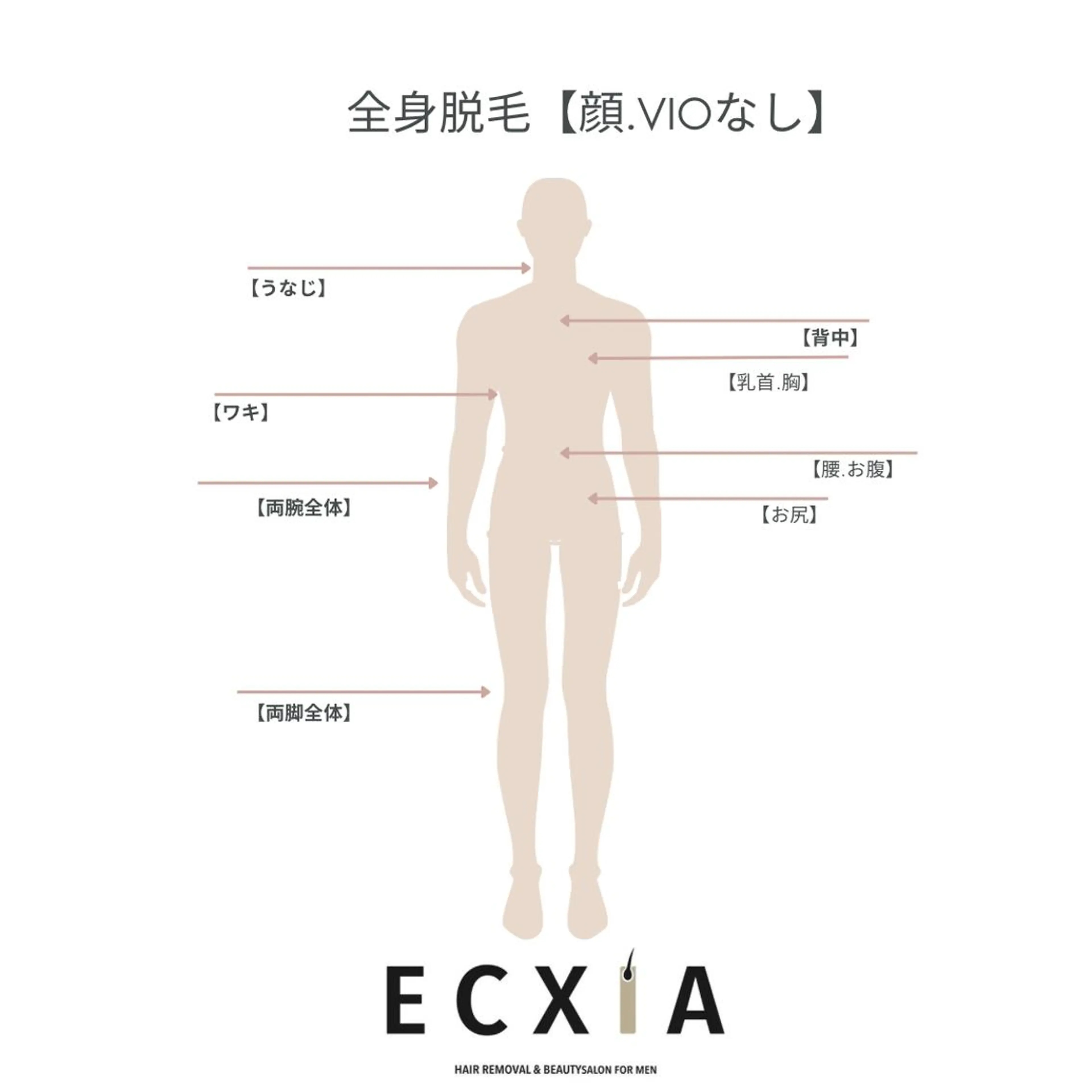 【2回目以降のご予約】全身脱毛✨髭、VIOなしの写真