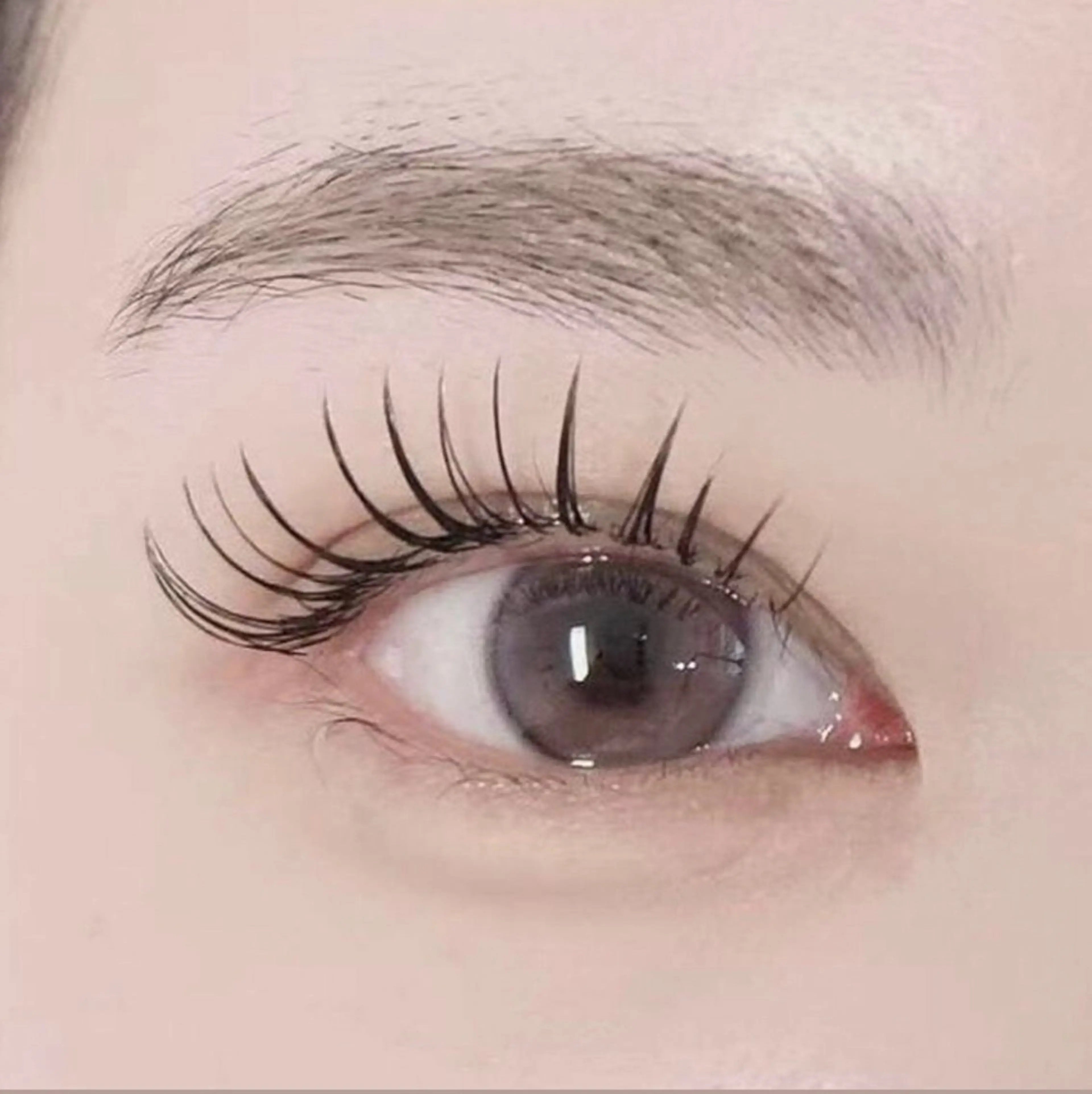 まつ毛パーマ 🎀コーティング付き(上のみ)の写真