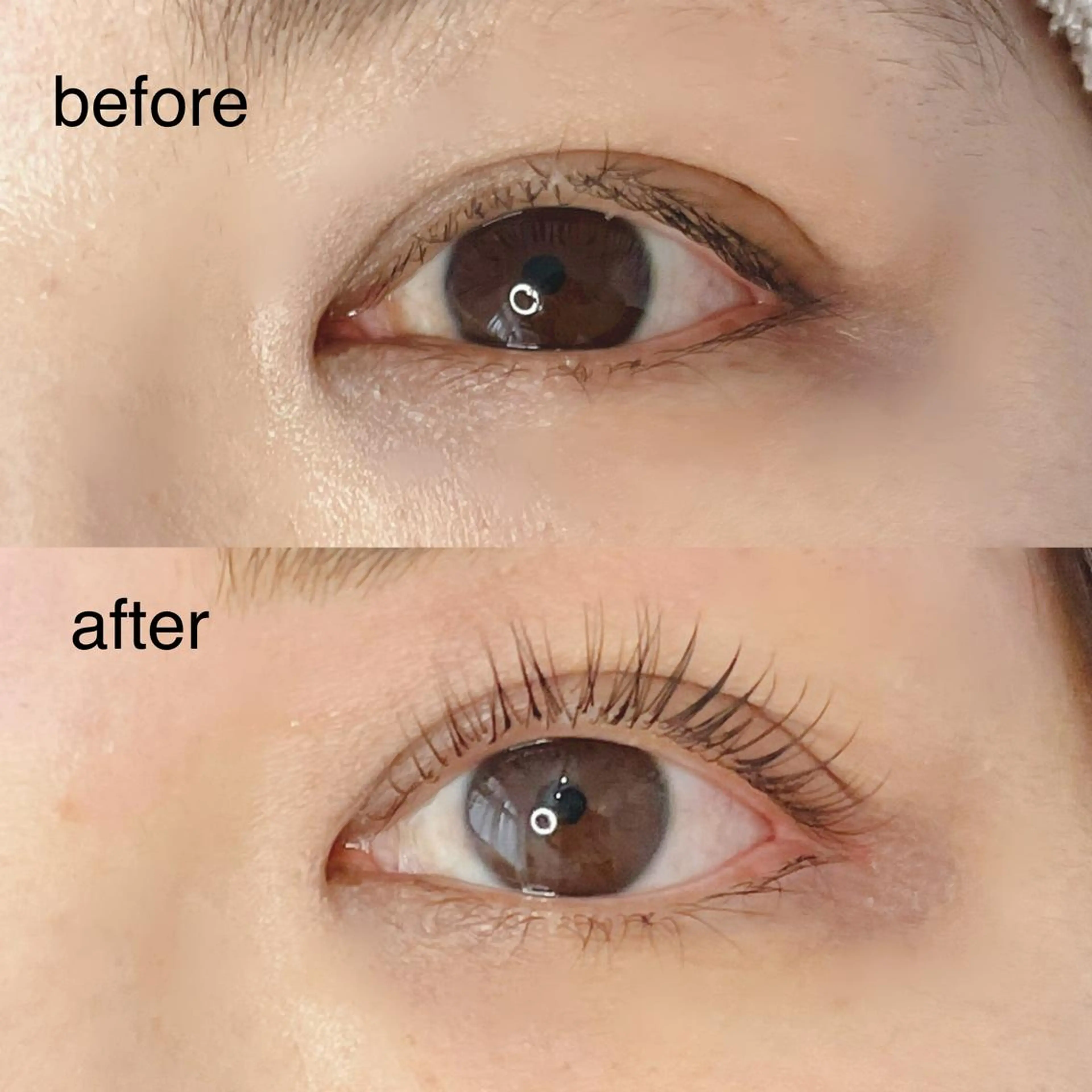 マツエク・マツパ 《eyelash ｉｉｔｅ》森のマツエク・マツパデザイン