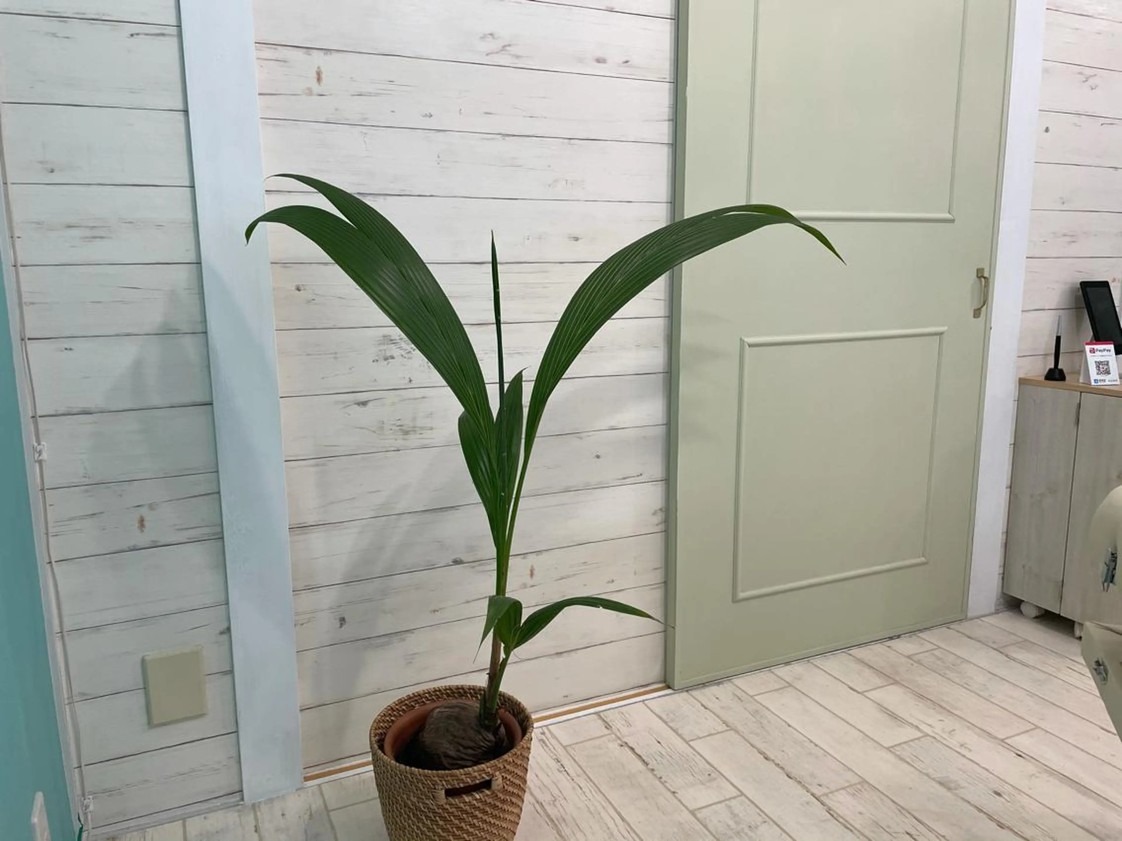 肩こり専門整体師 乾　充のエステ・リラクイメージ