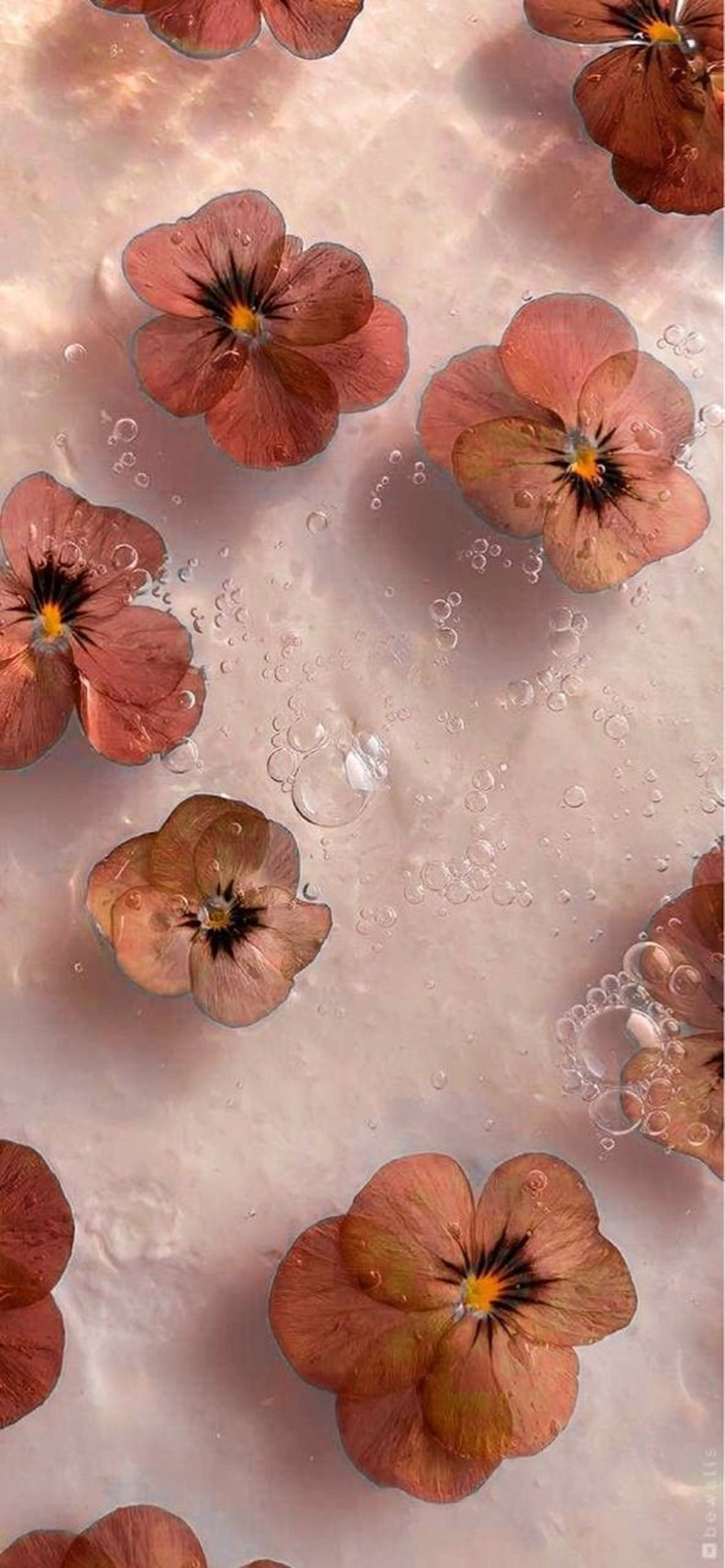 ✿Remi✿/束感 /マツパ/マツエクの眉毛・アイブロウイメージ