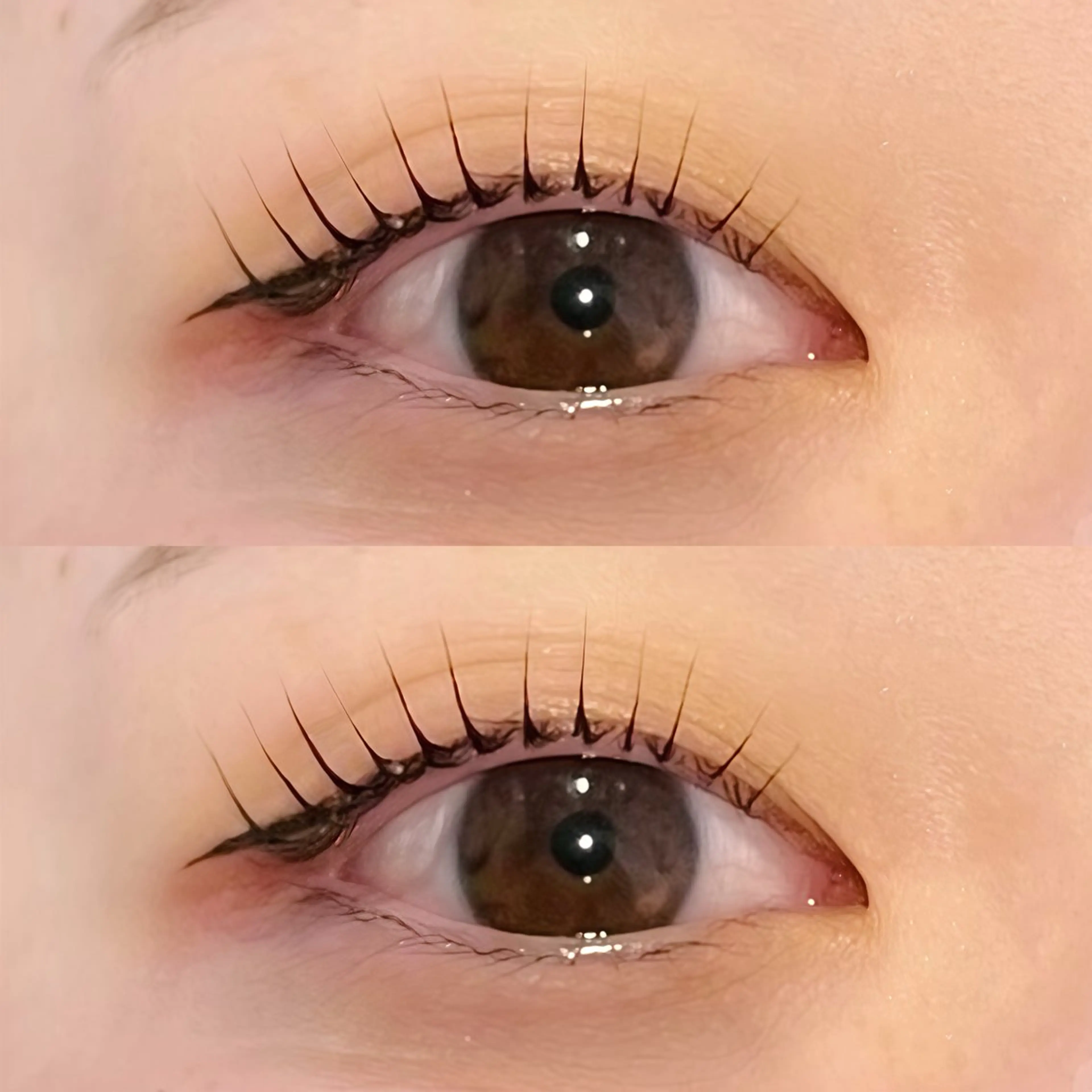 ✨SNSで話題✨まつ毛パーマ【 韓国ロッド🇰🇷 】（コーティング込み）の写真