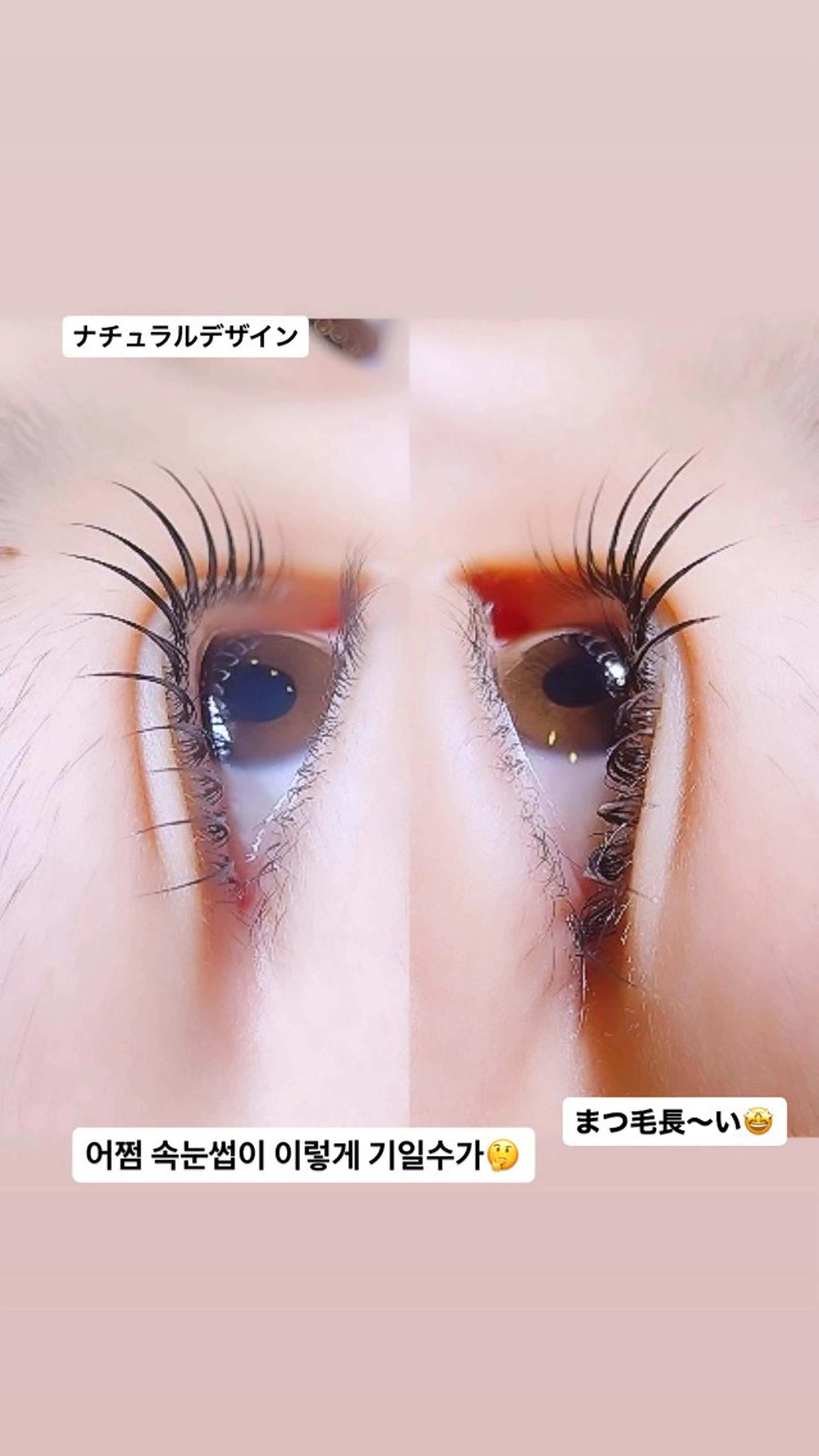 マツエク・マツパ ナチュラル ロニセラ アイラッシュのマツエク・マツパデザイン