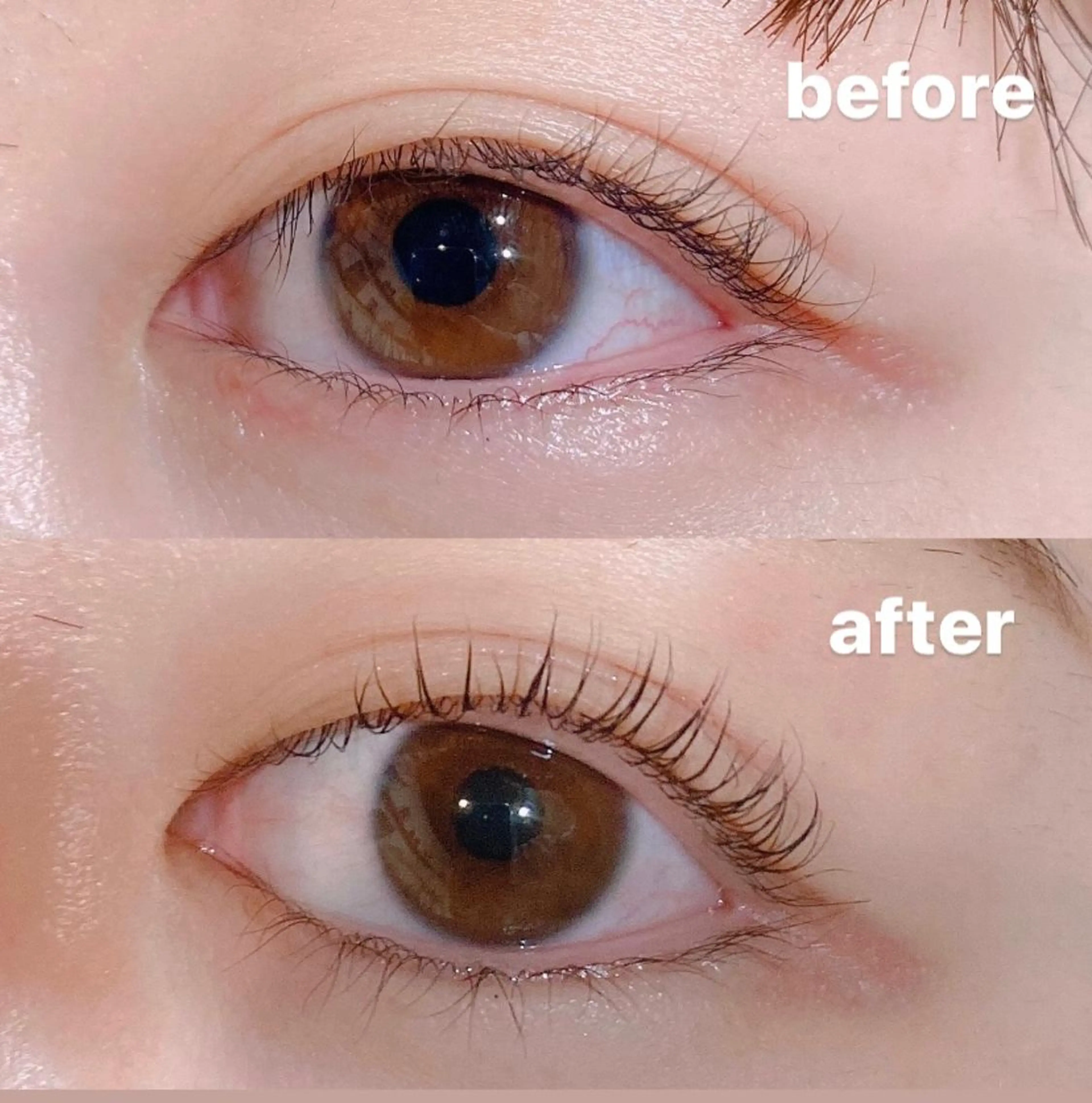 カラー マツエク・マツパ HINANO🌷 髪質改善サロンの眉毛・アイブロウイメージ