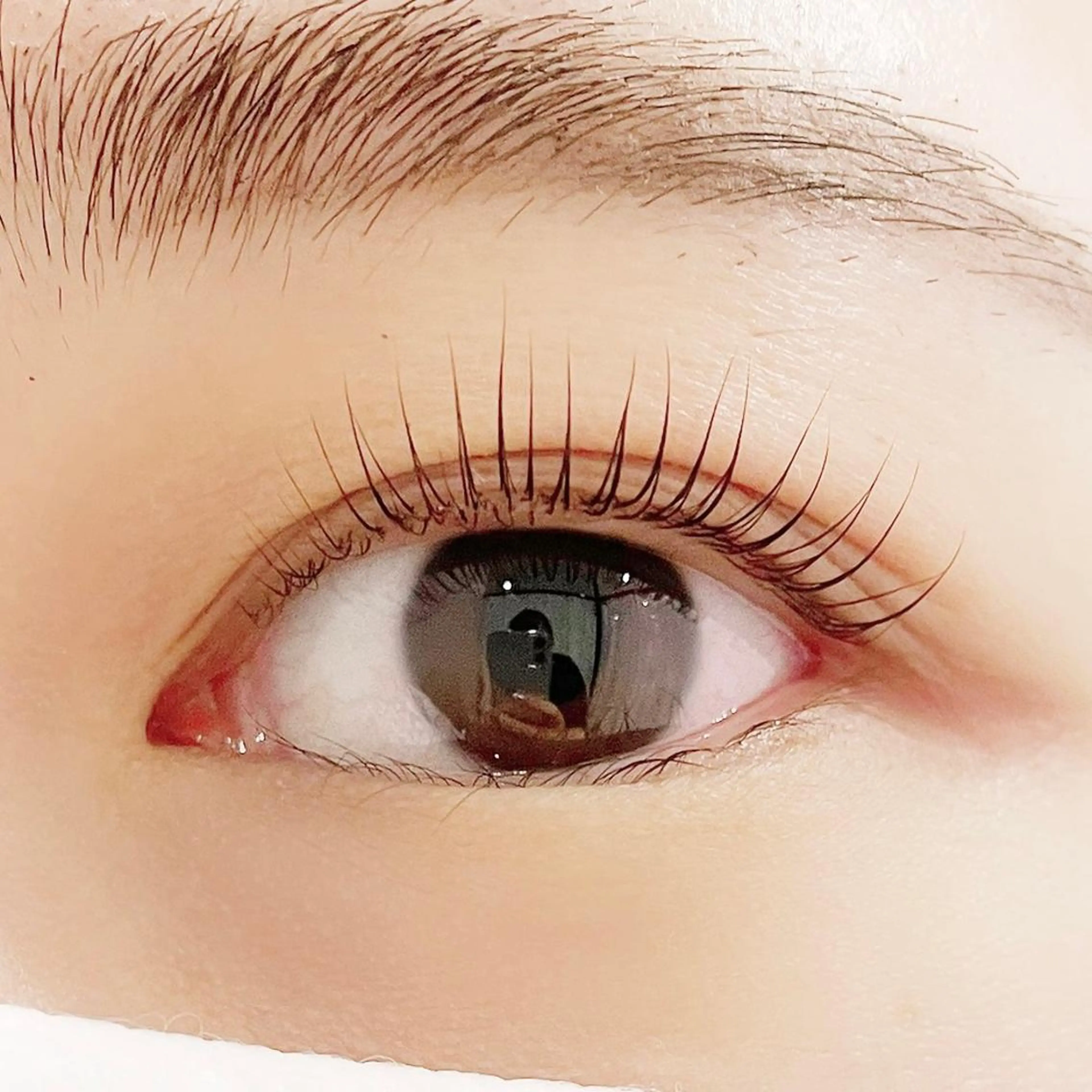 《上》パリジェンヌラッシュリフト¥6980→¥4980【束感Trコーティング仕上げ付】の写真