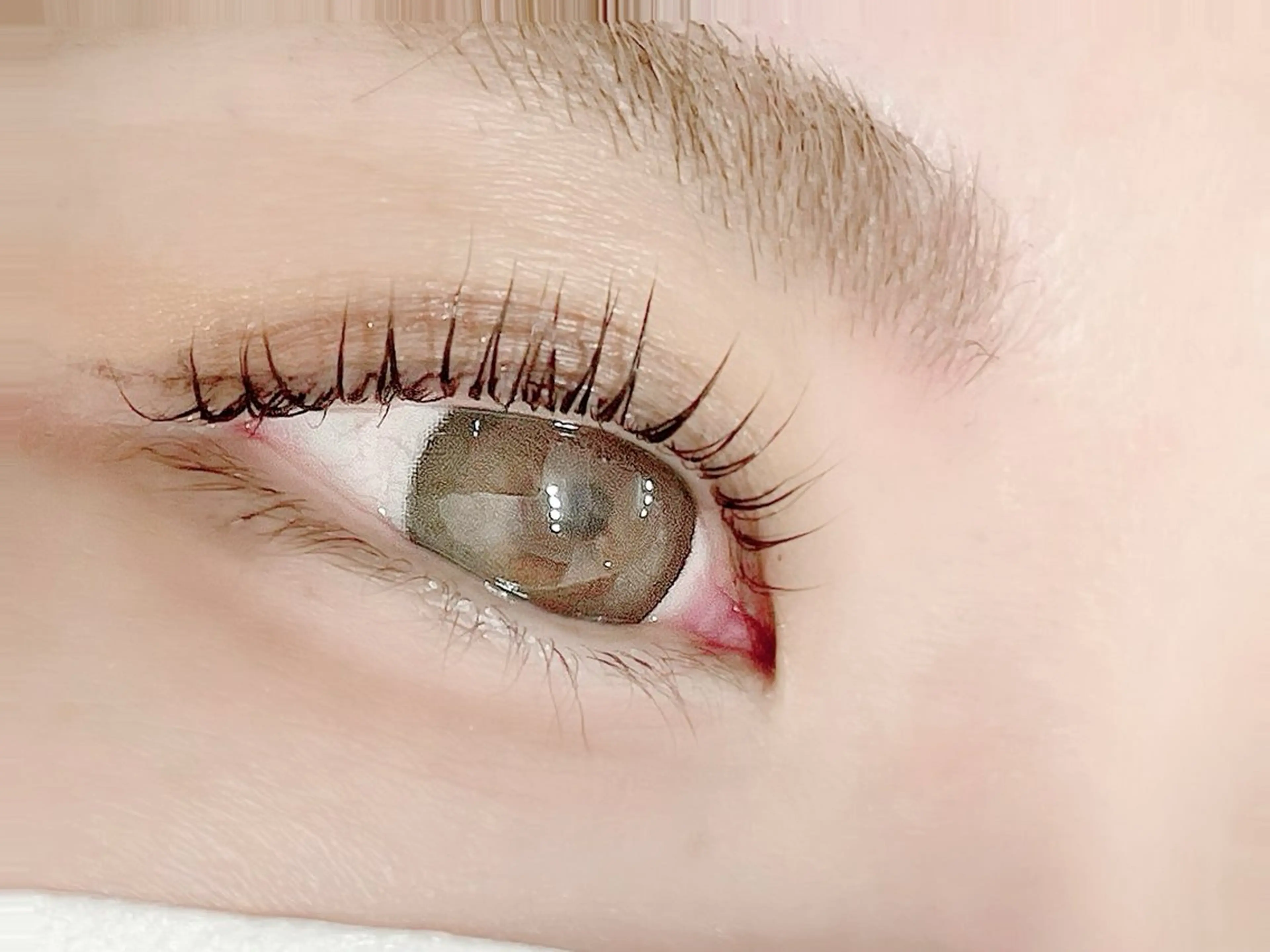 マツエク・マツパ 韓国風マツエク マツパ carino carino.nのマツエク・マツパデザイン