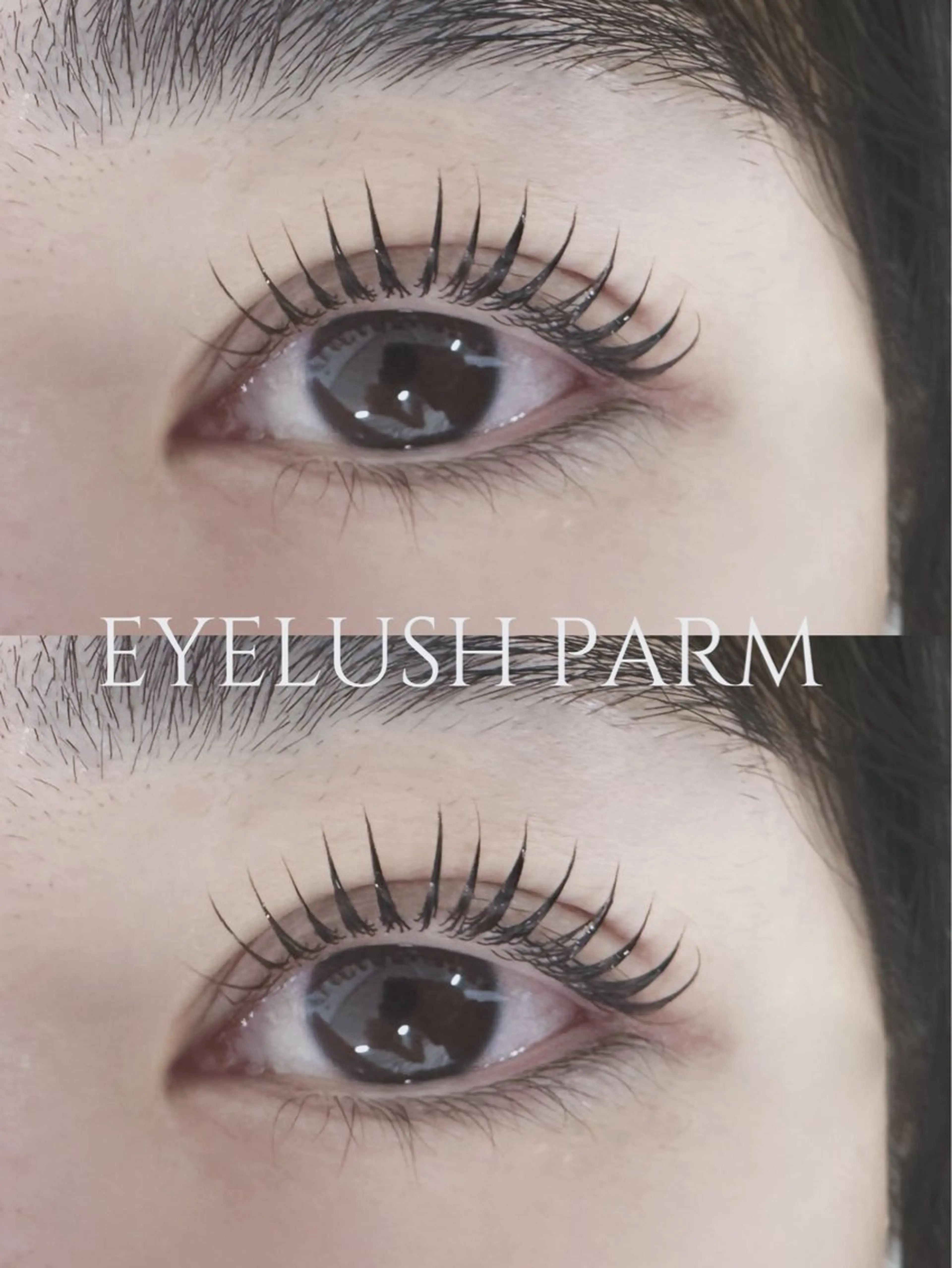 ご新規様限定🦞【大人気】まつ毛パーマ🎀(コーティング付き)土日祝➕550の写真