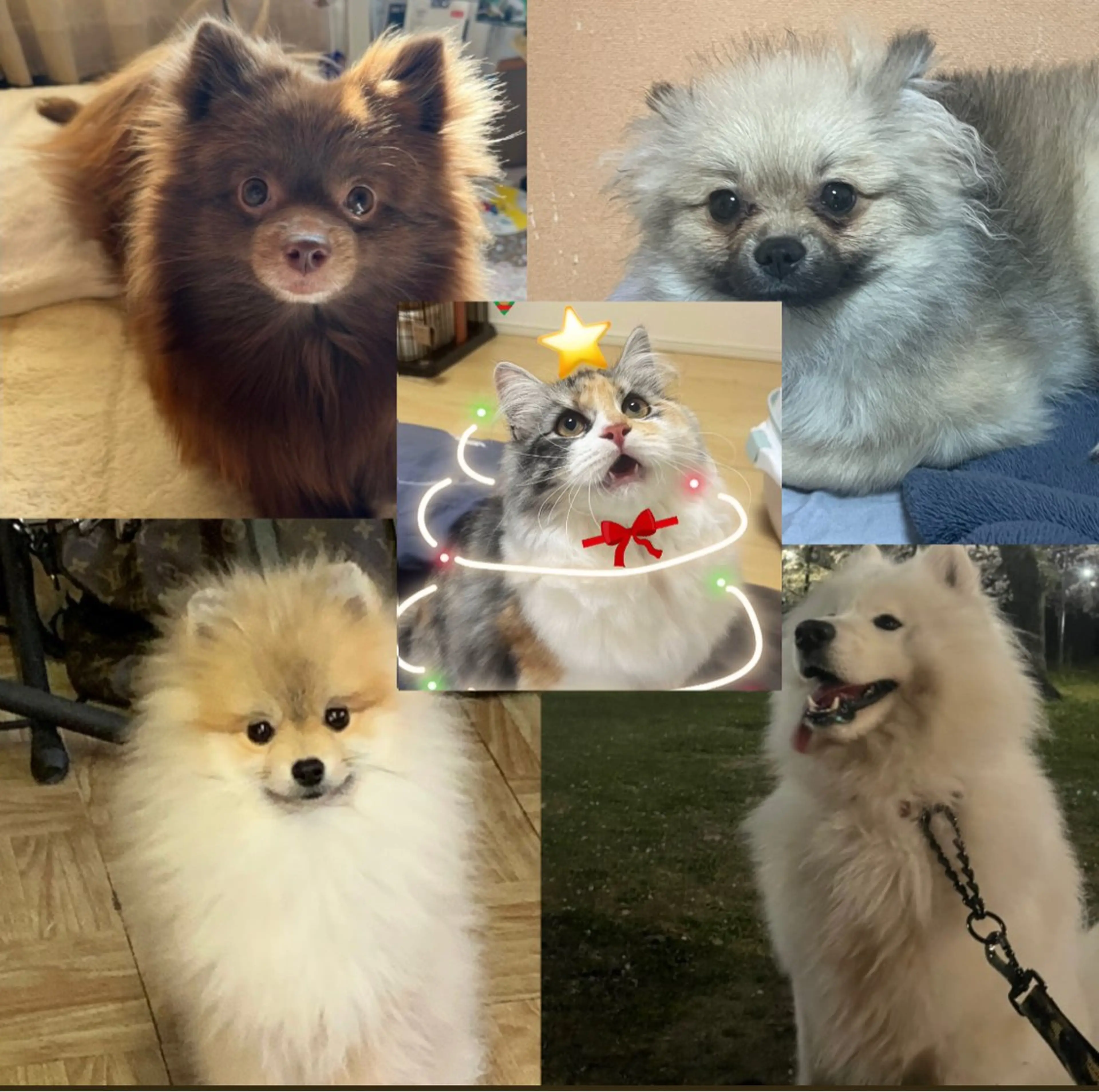 ネイル THE PEAKのネイルデザイン