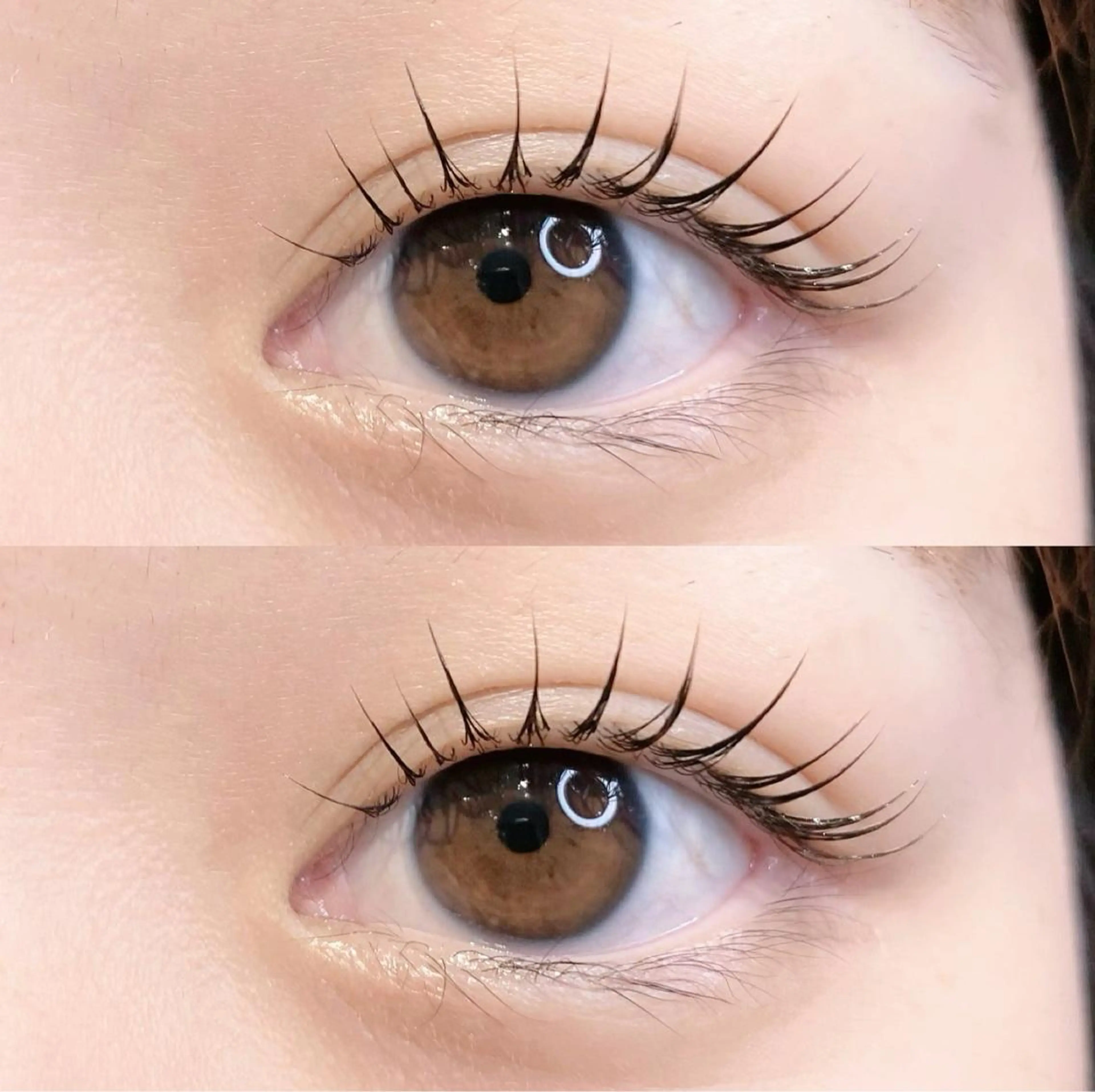 ショート カラー マツエク・マツパ アイブロウ 似合わせまつ毛🫧 さくら🌸のマツエク・マツパデザイン