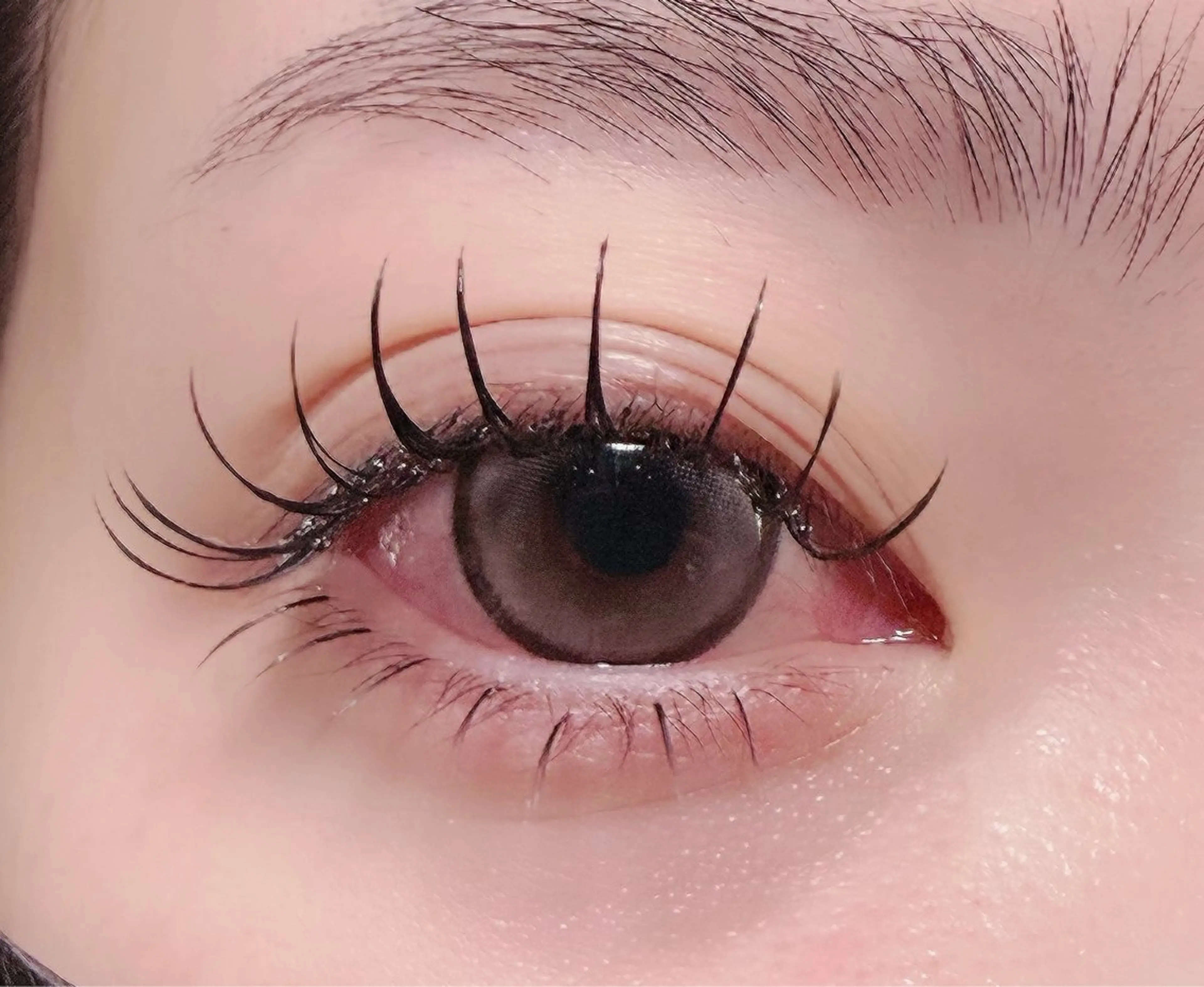 マツエク・マツパ フラットラッシュ マツエク ルチア💞 lucia高田馬場のマツエク・マツパデザイン