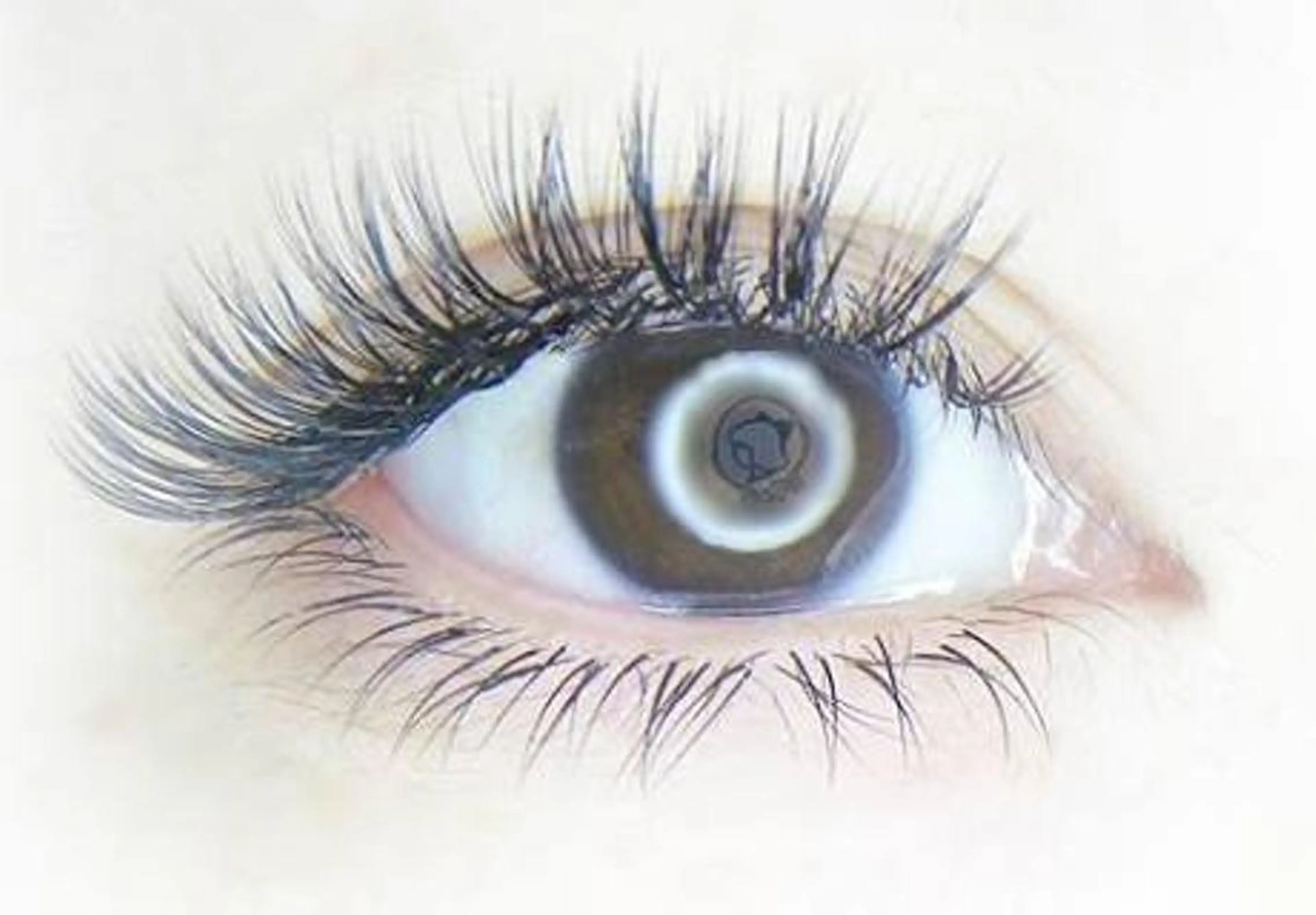 マツエク・マツパ La.Foxy Staffのマツエク・マツパデザイン