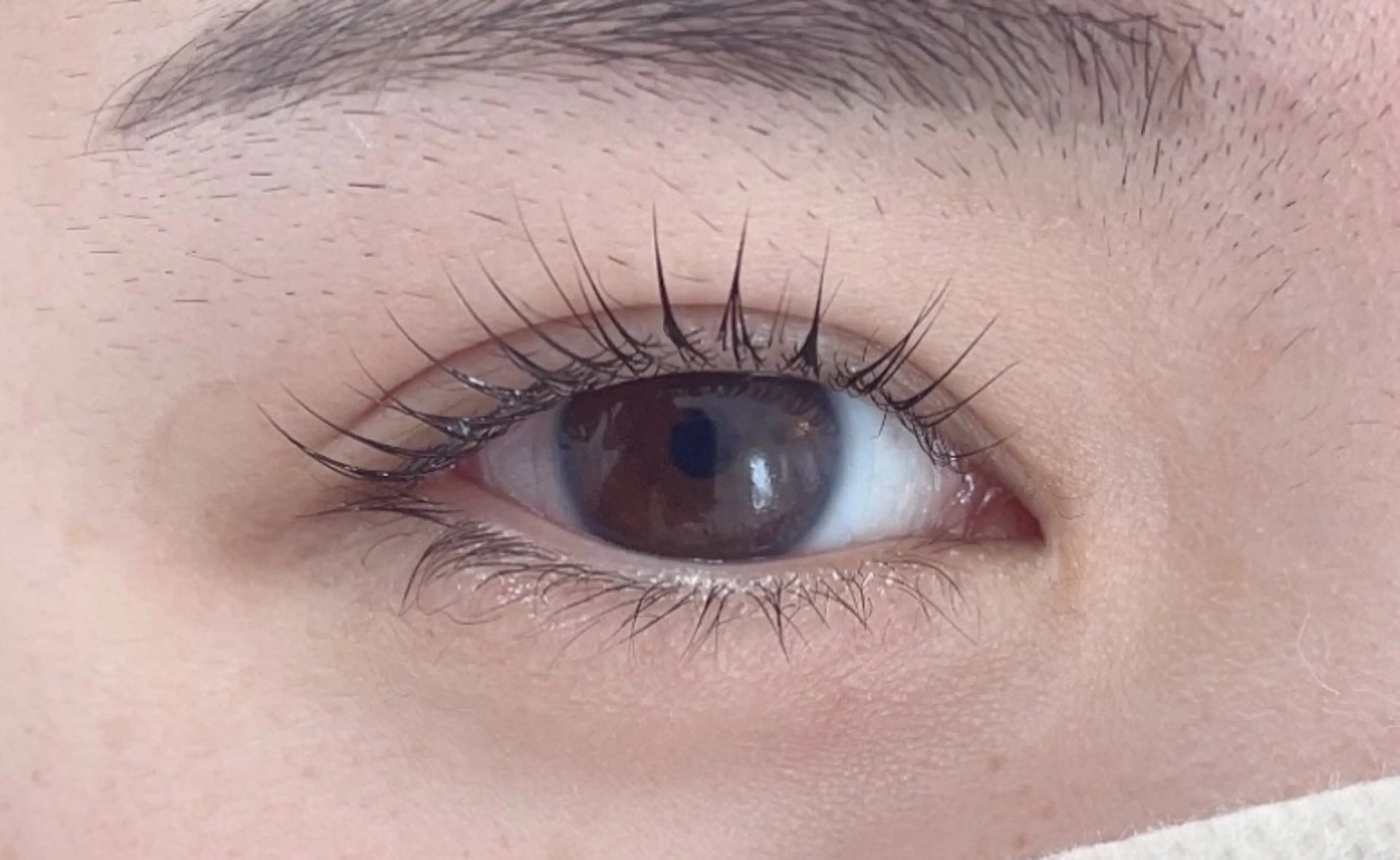 マツエク・マツパ マツパ Reveil  Elegance所属・秋田 美穂のマツエク・マツパデザイン