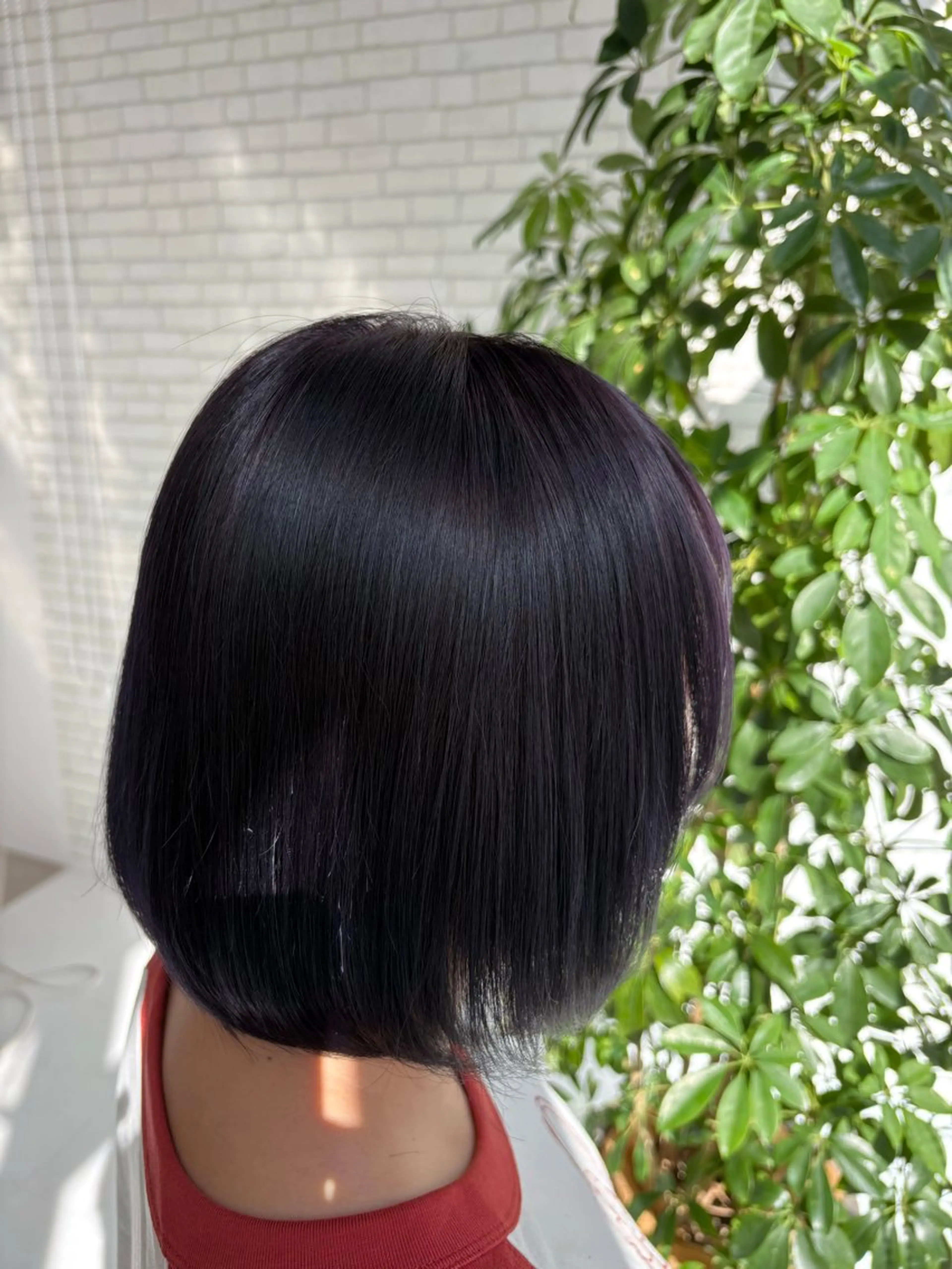 カラー 篠田 綾乃のヘアスタイル