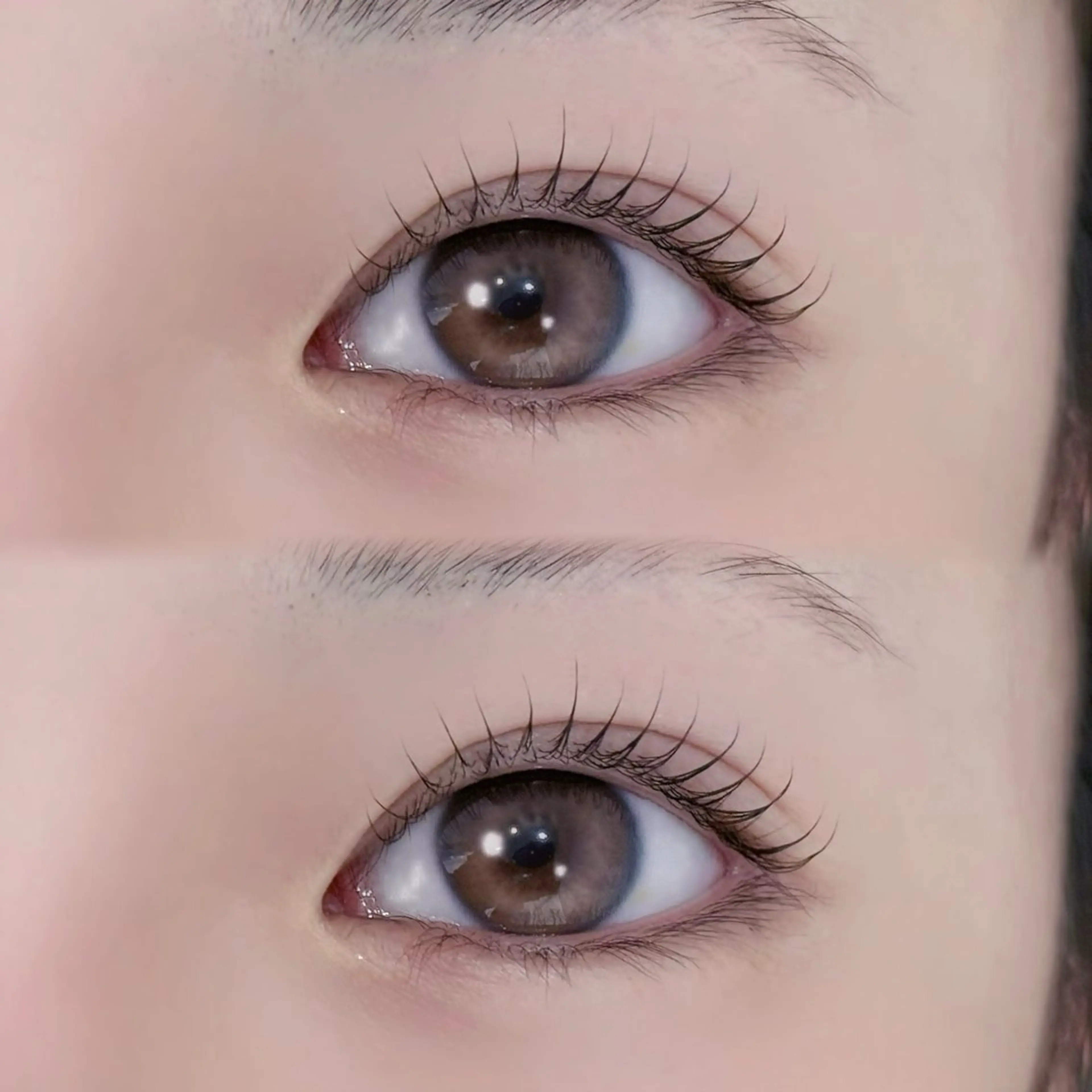 《ご新規さま限定》🍯上まつ毛パーマ+ケラチンパック【ぱっちりorカールから選べる💡】の写真