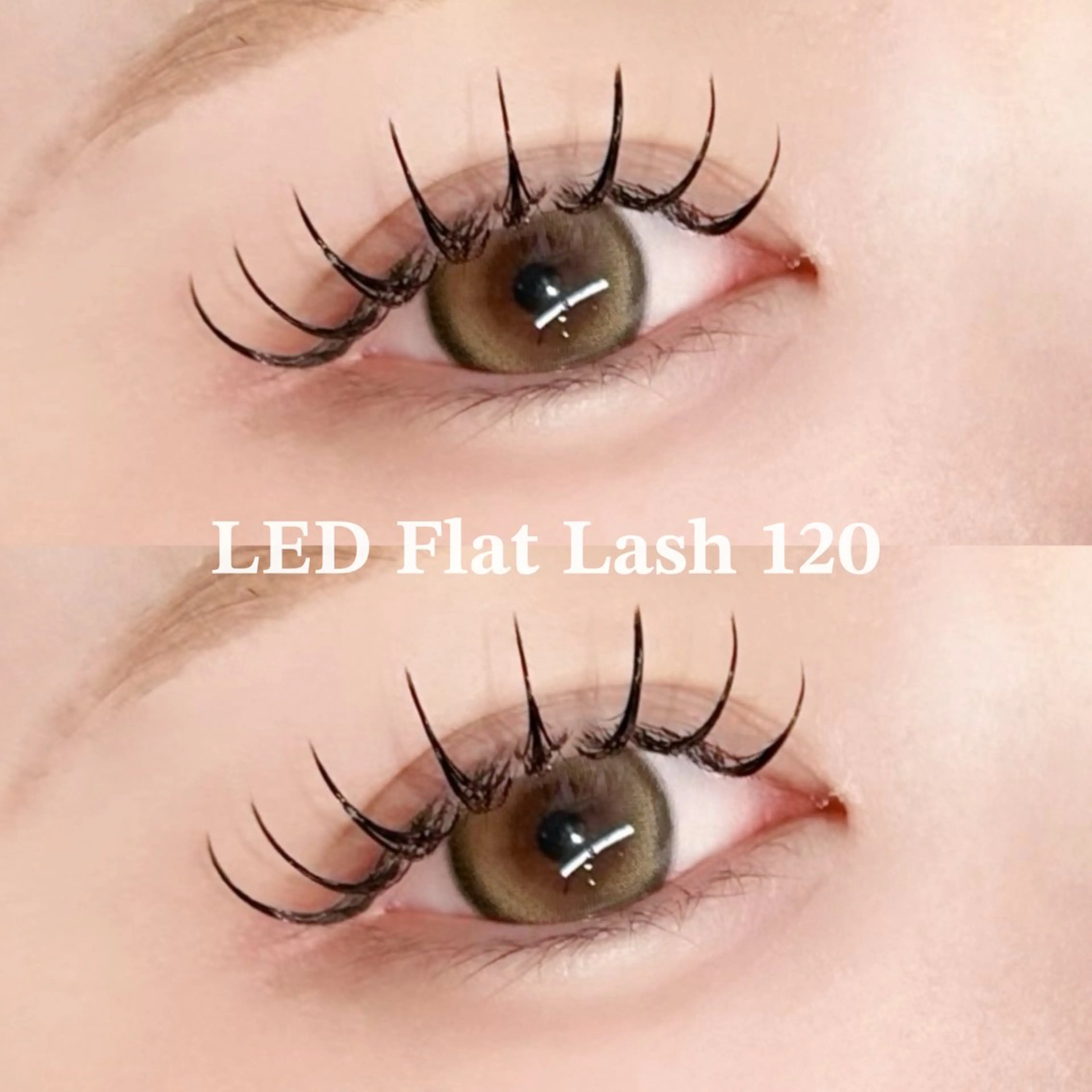 【モチ抜群◎】オフあり🙆🏻LEDフラットラッシュ120本💛ご新規様 ¥5900/再来様 ¥7230の写真