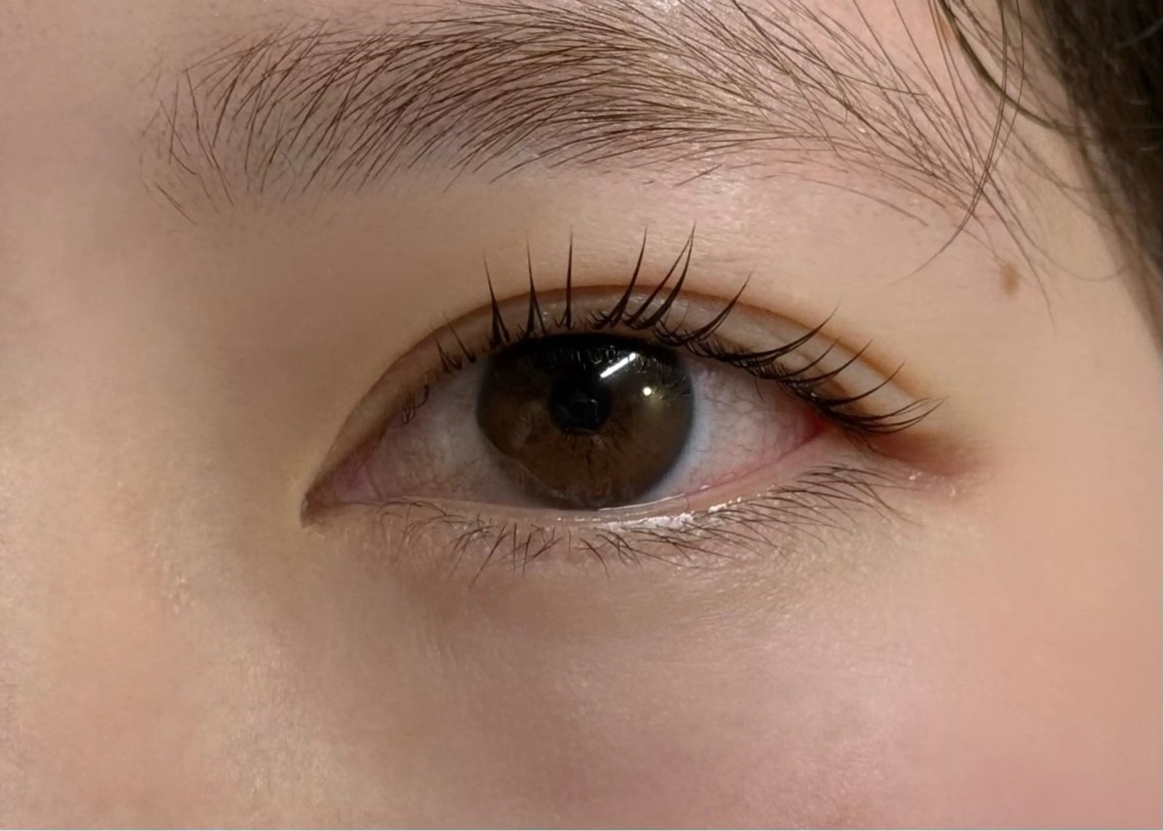 次世代まつげパーマラッシュリフト｛上のみ｝の写真