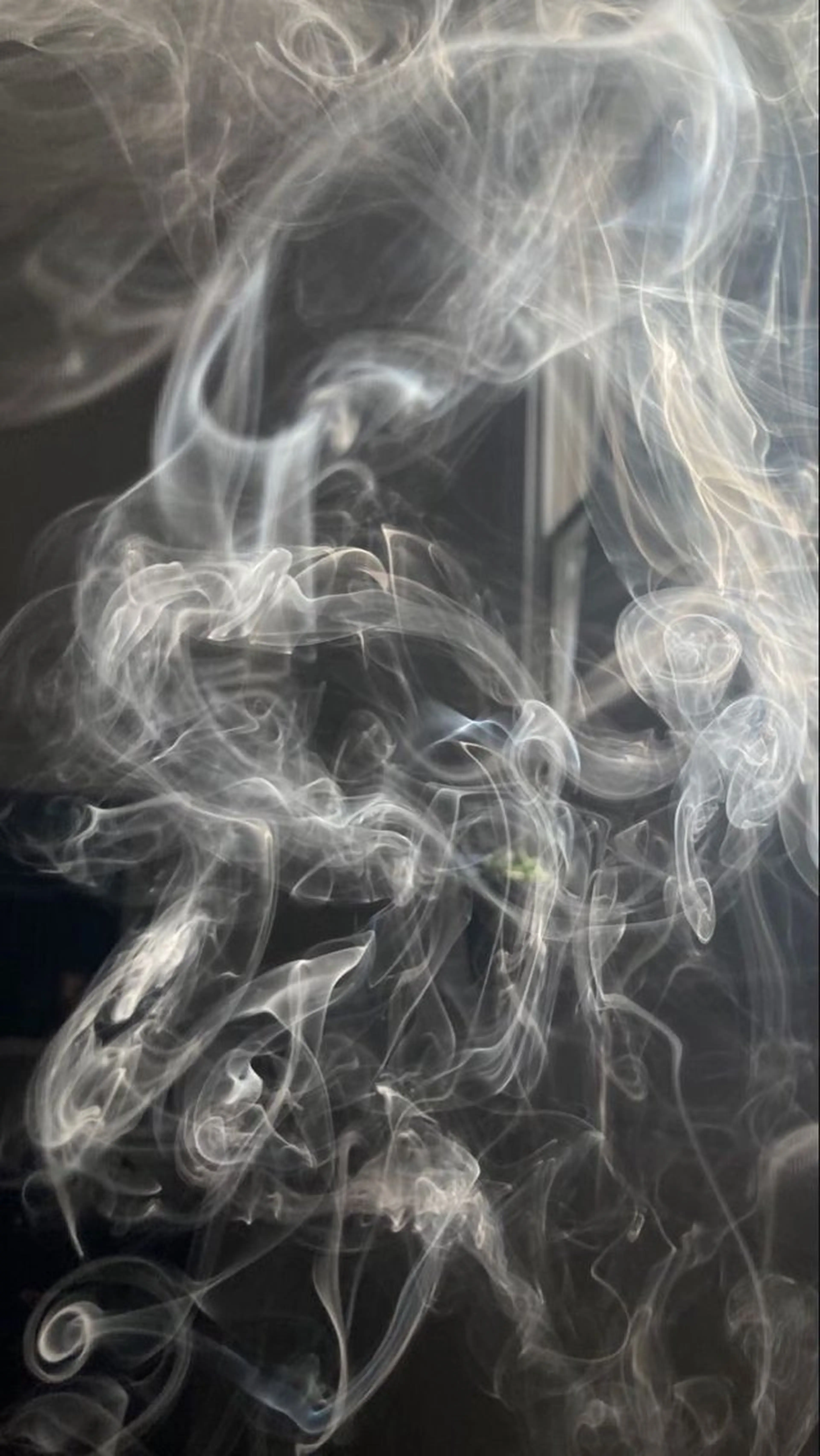 ∴Sanae. ∴ トータルビューティーのマツエク・マツパデザイン