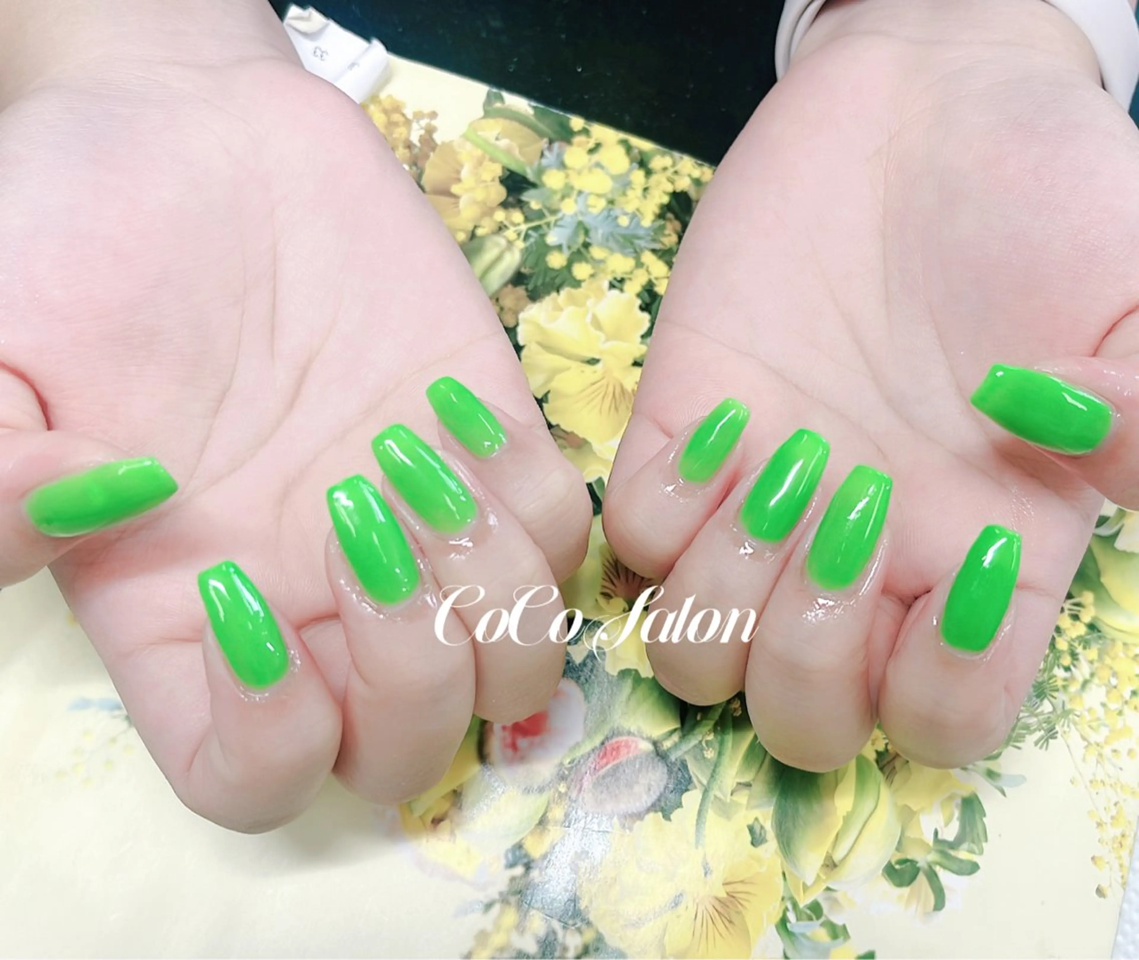 ネイル ジェルネイル グリーン ワンカラーネイル スカルプネイル 夏ネイル マツパ CoCoSalon ネイル/まつ毛予約のネイルデザイン