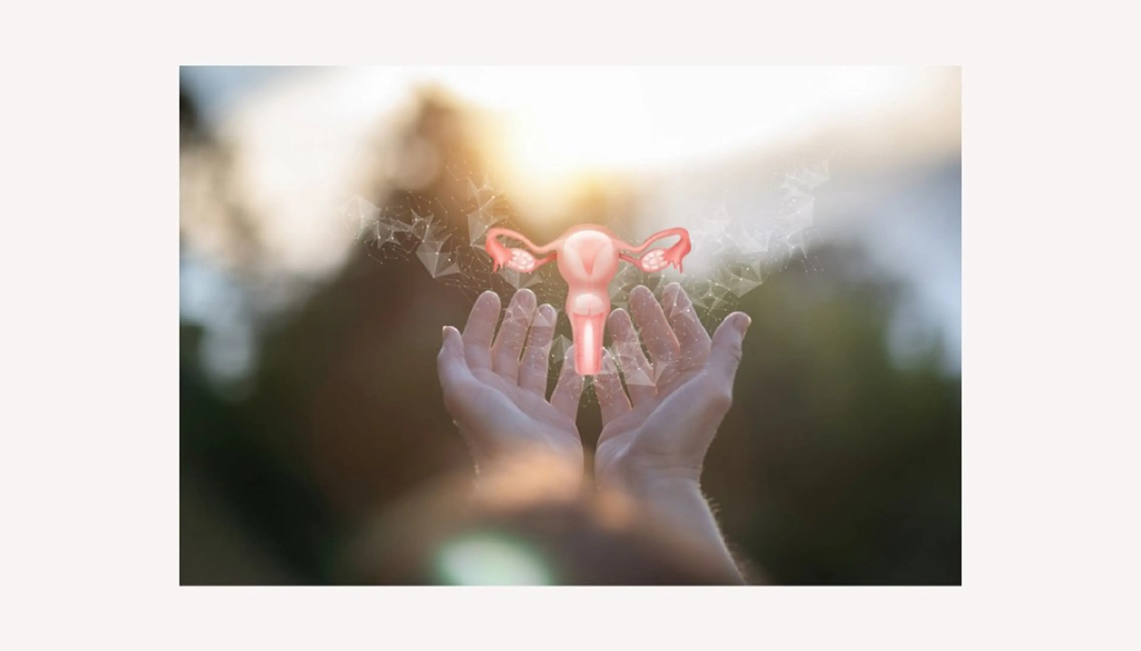 リラク よもぎ蒸し専門 Ｅ-エステティックのその他イメージ