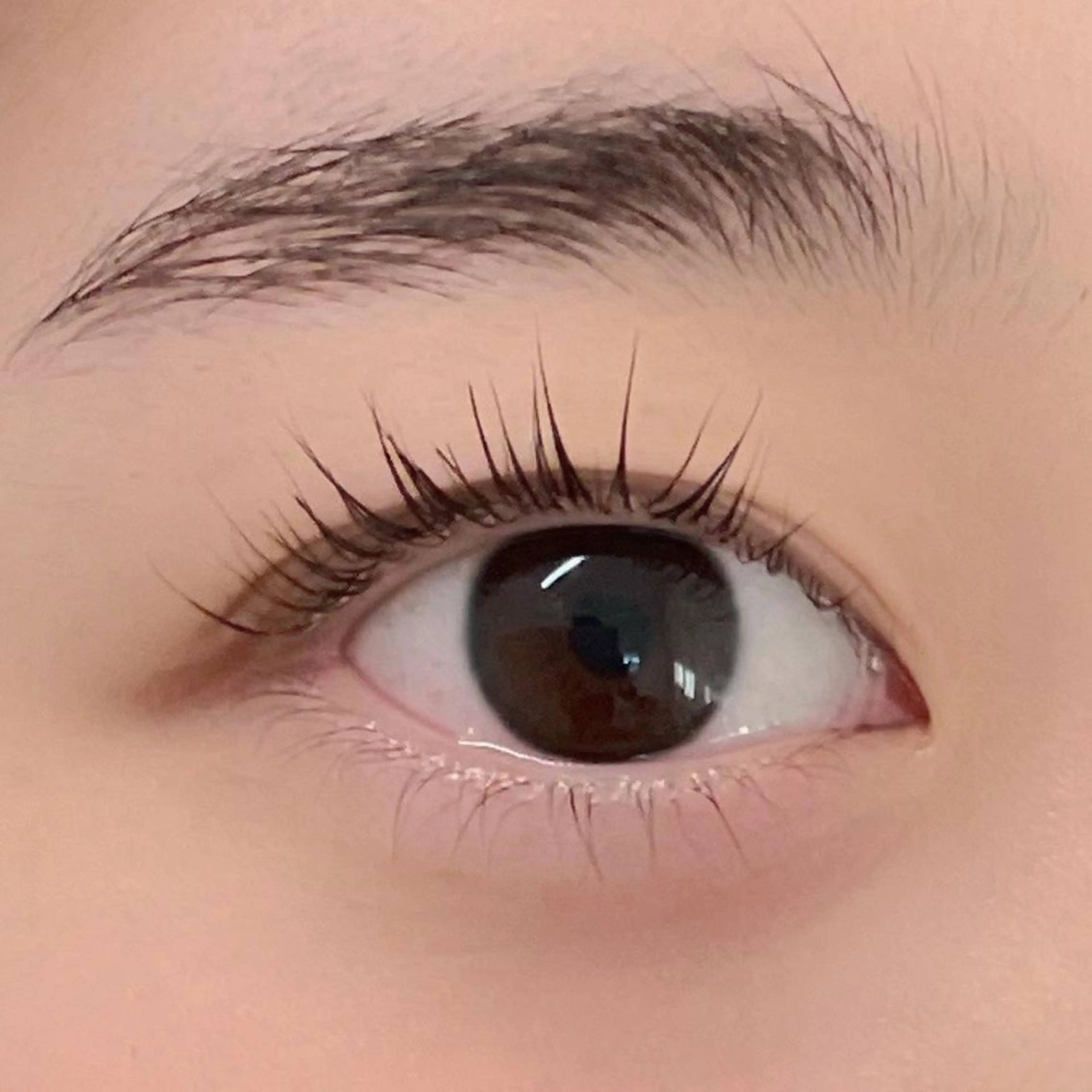 マツエク・マツパ 下まつげエクステ 一重×まつ毛パーマ マツパ/マツエク アイリスト　酒井の眉毛・アイブロウイメージ