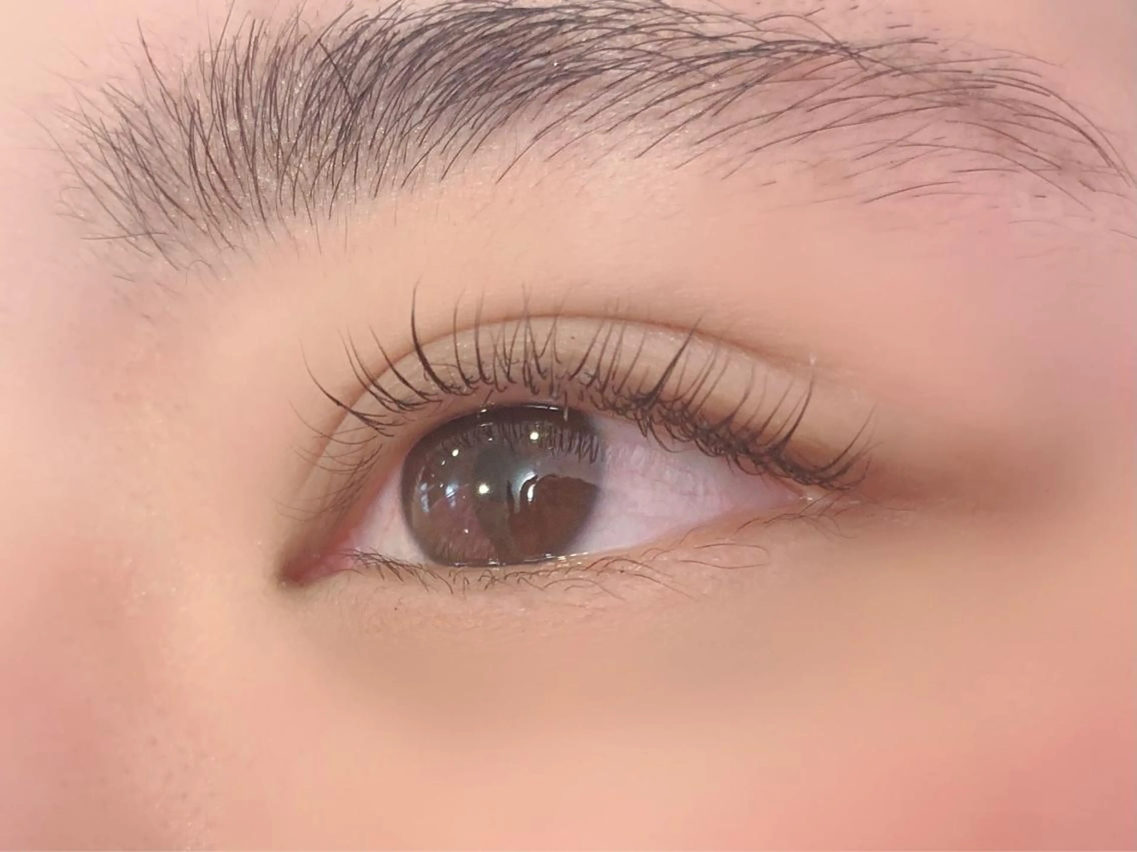 マツエク・マツパ Cカール 一重×まつ毛パーマ 中野 里咲のヘアスタイル