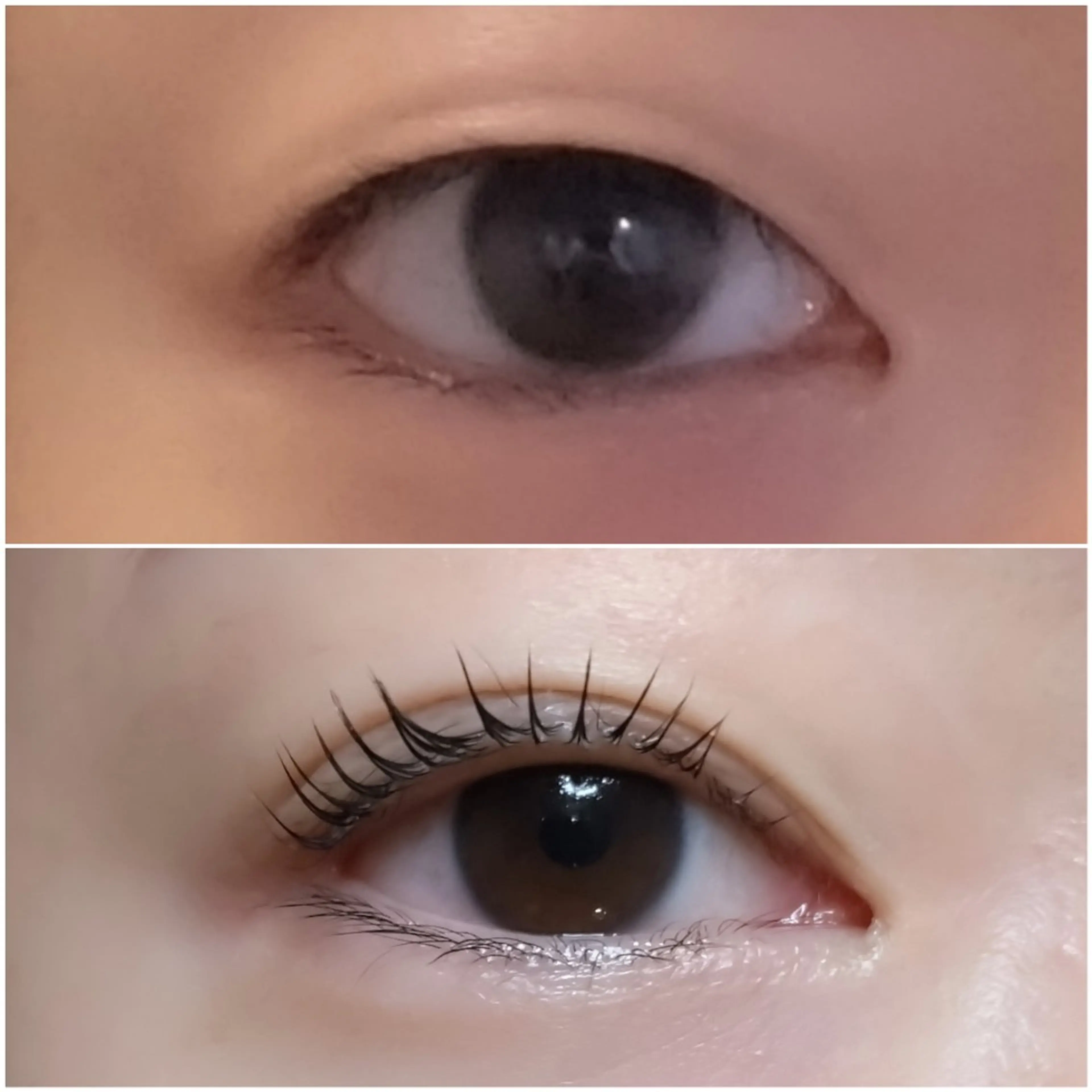 マツエク・マツパ マツパ 🦈Mana🦈 紬麦　栄店のマツエク・マツパデザイン