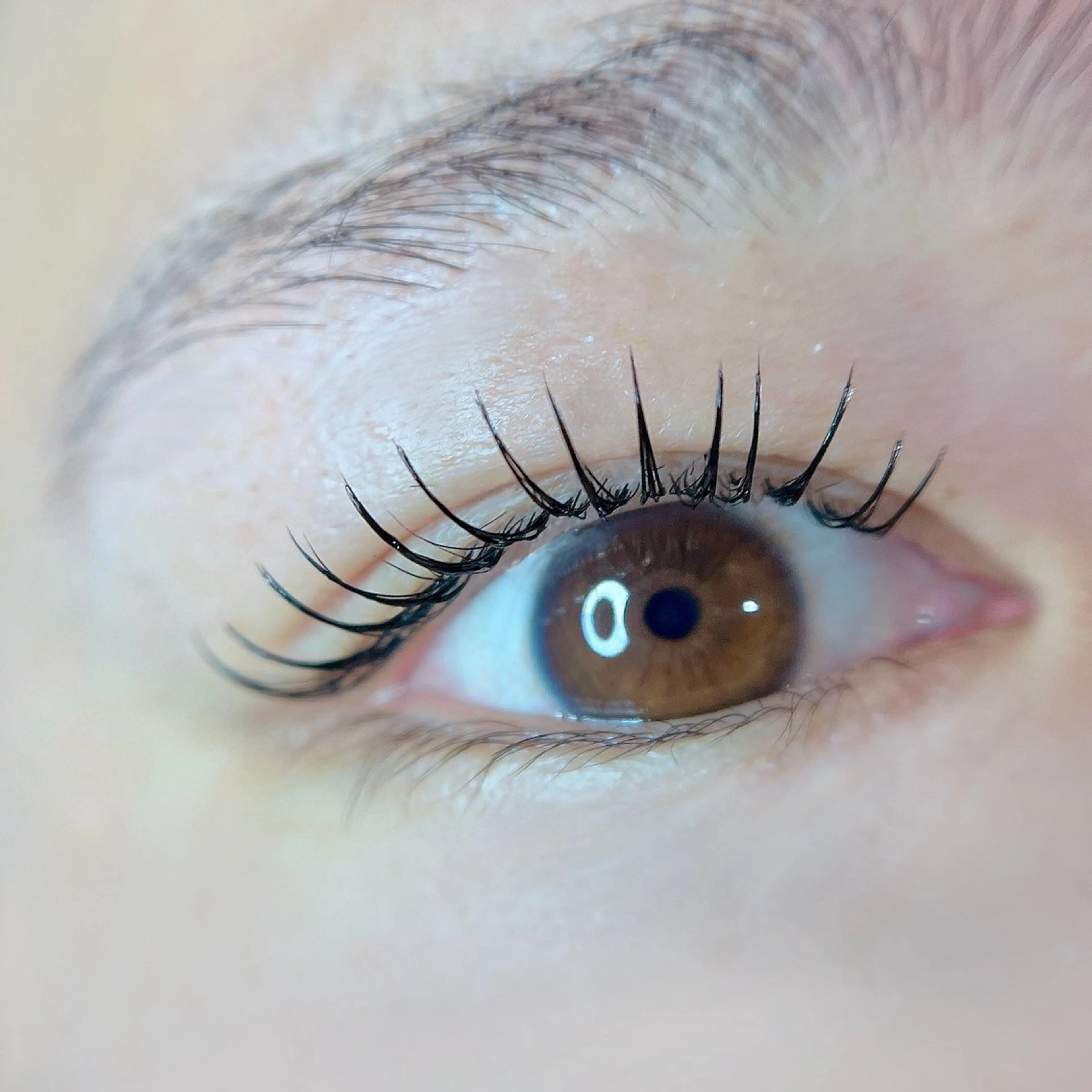 マツエク・マツパ araki 🧸💭のマツエク・マツパデザイン