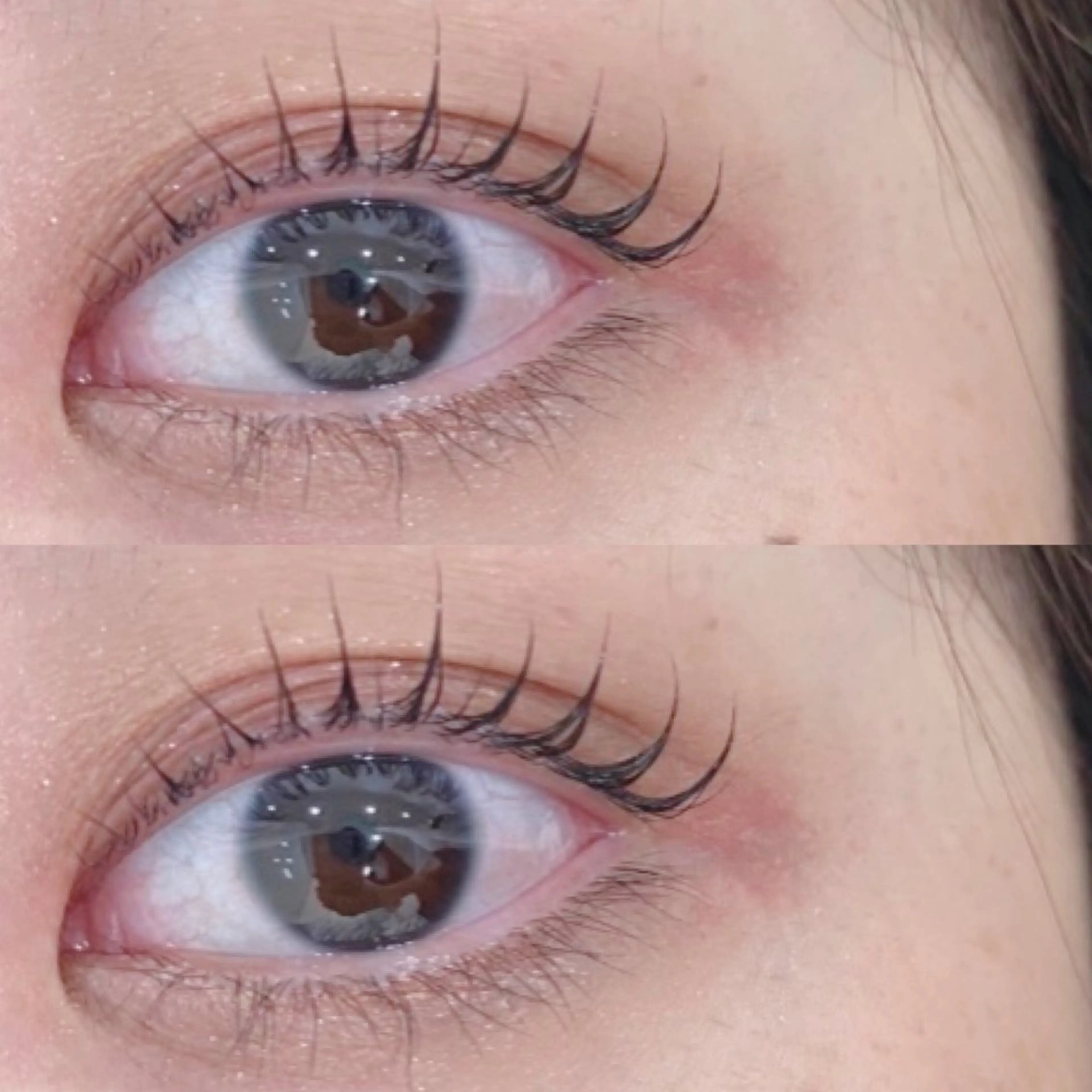 🎀アイブロウWAX&まつげパーマ🎀の写真