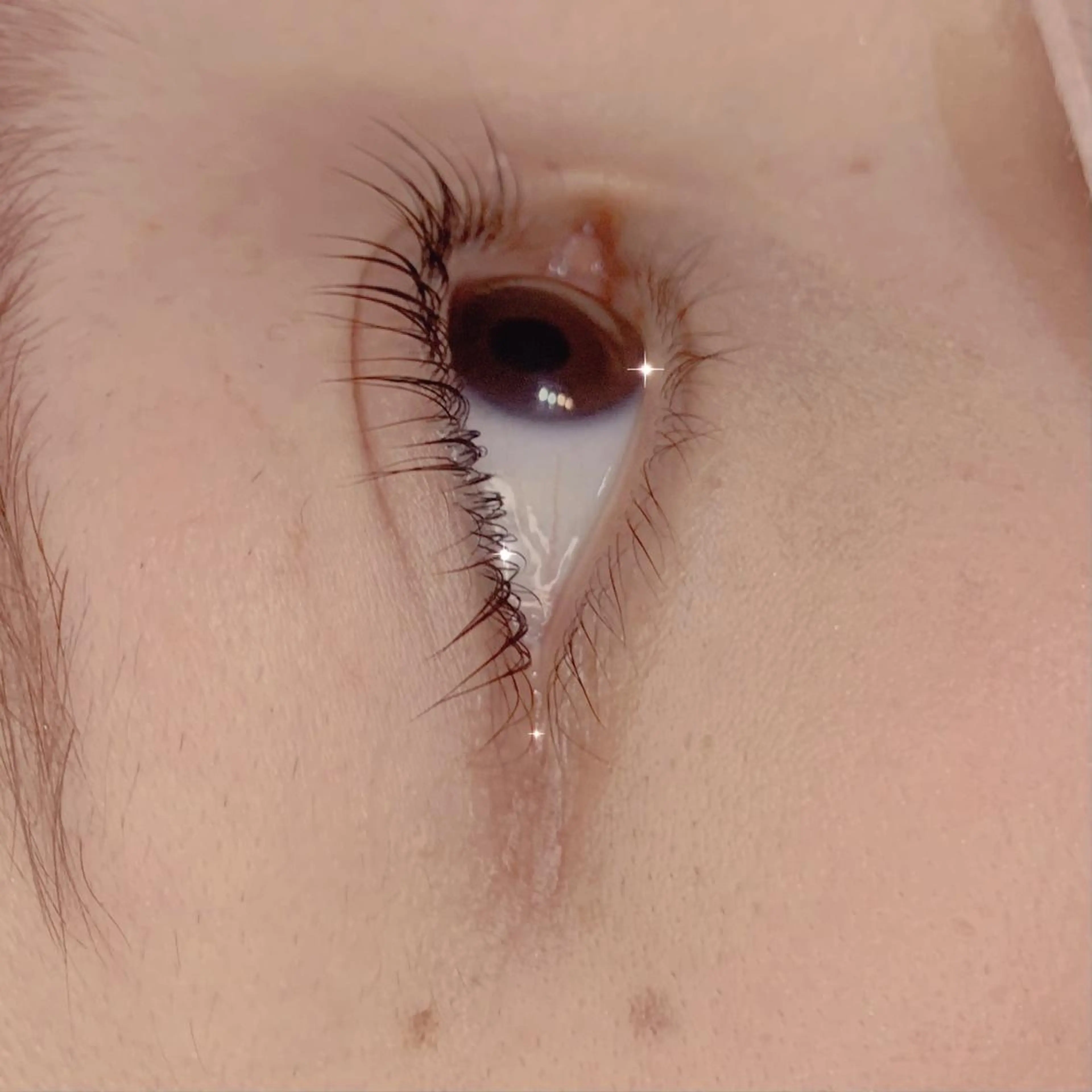 マツエク・マツパ パリジェンヌラッシュリフト 🧸Celeste Venusのマツエク・マツパデザイン