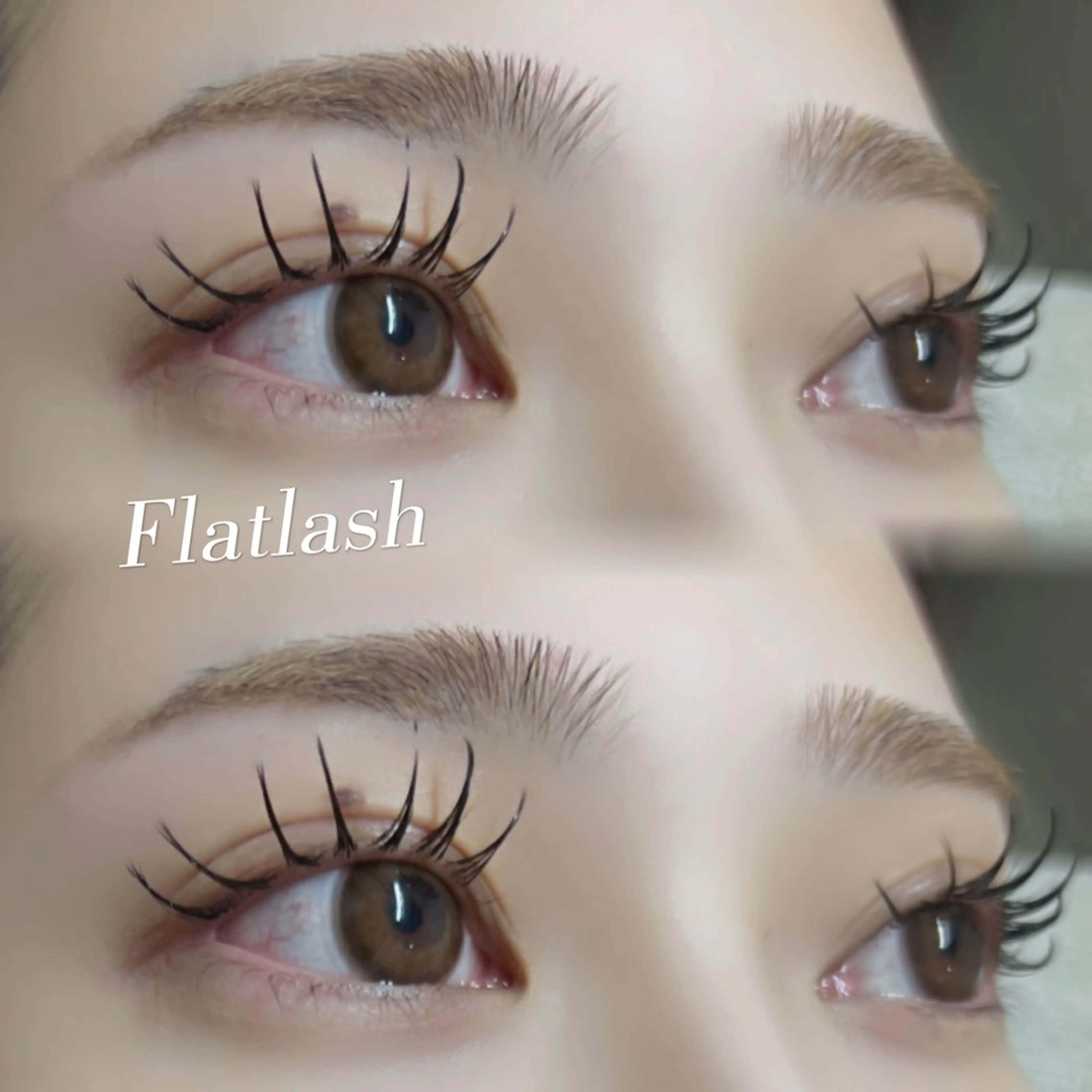 ブラウンラッシュ100本➕束感コーティングの写真