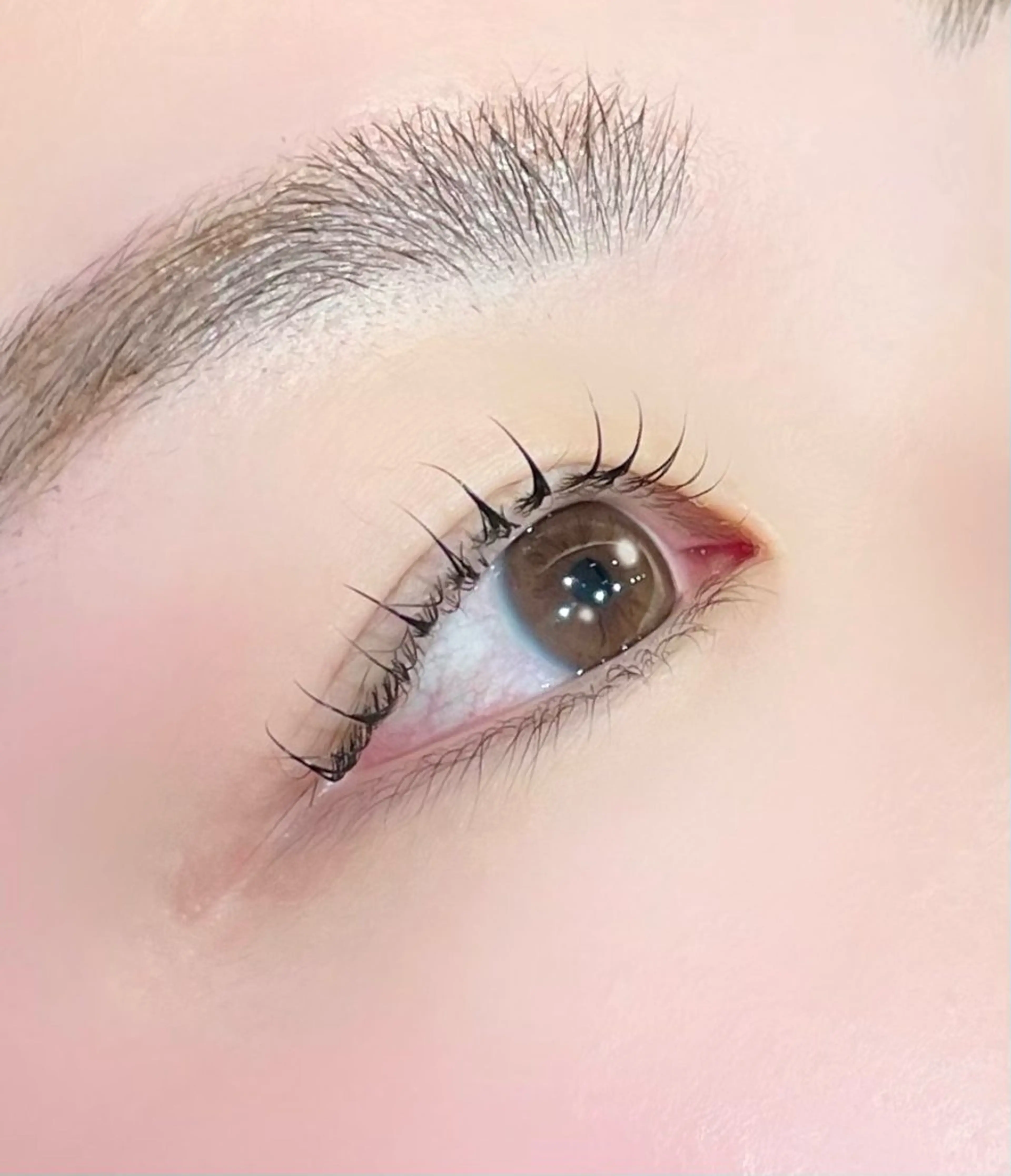 マツエク・マツパ マツパ 似合わせまつパ× 透け感カラー/ゆりのヘアスタイル