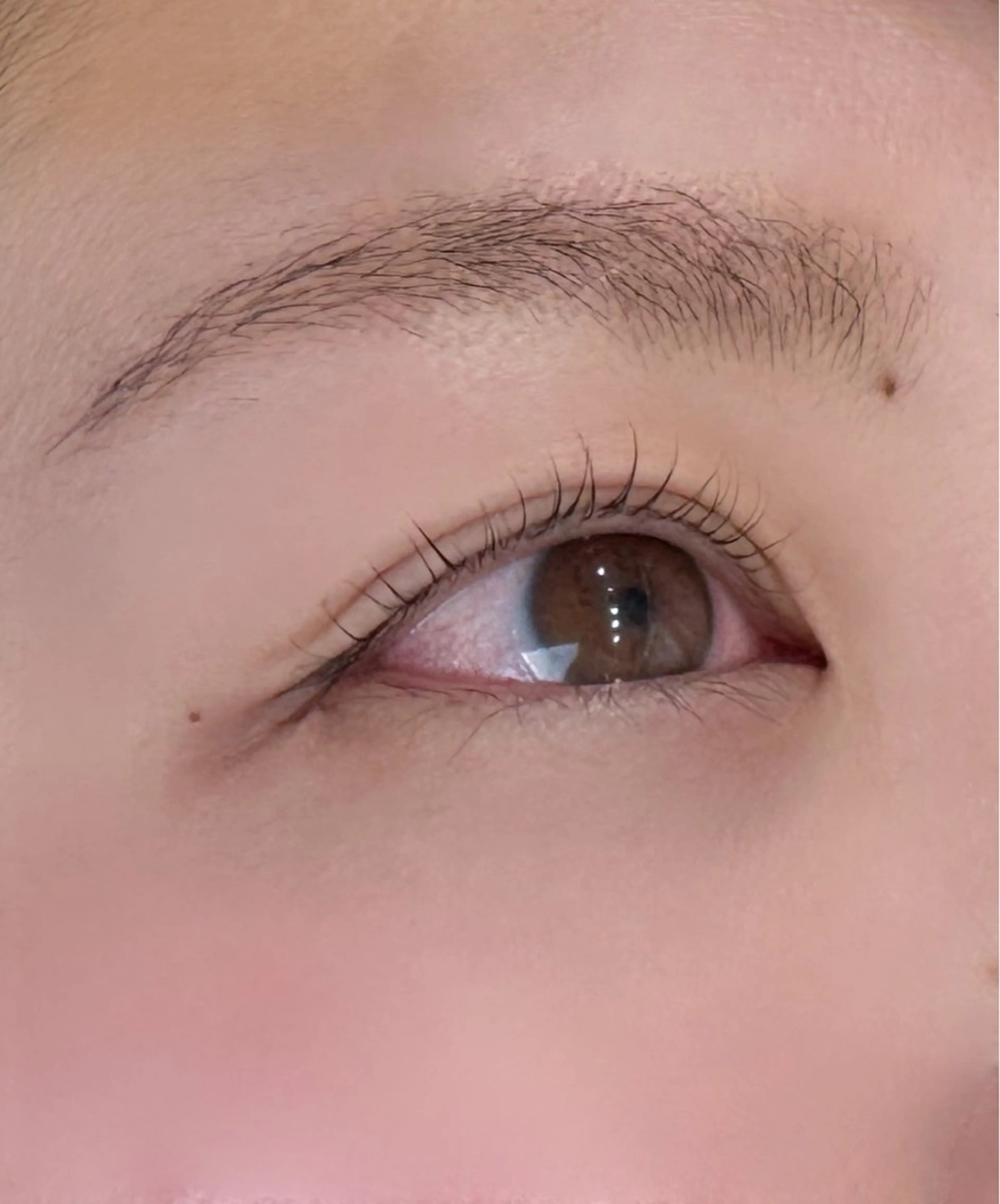 マツエク・マツパ TORCH mayuのマツエク・マツパデザイン