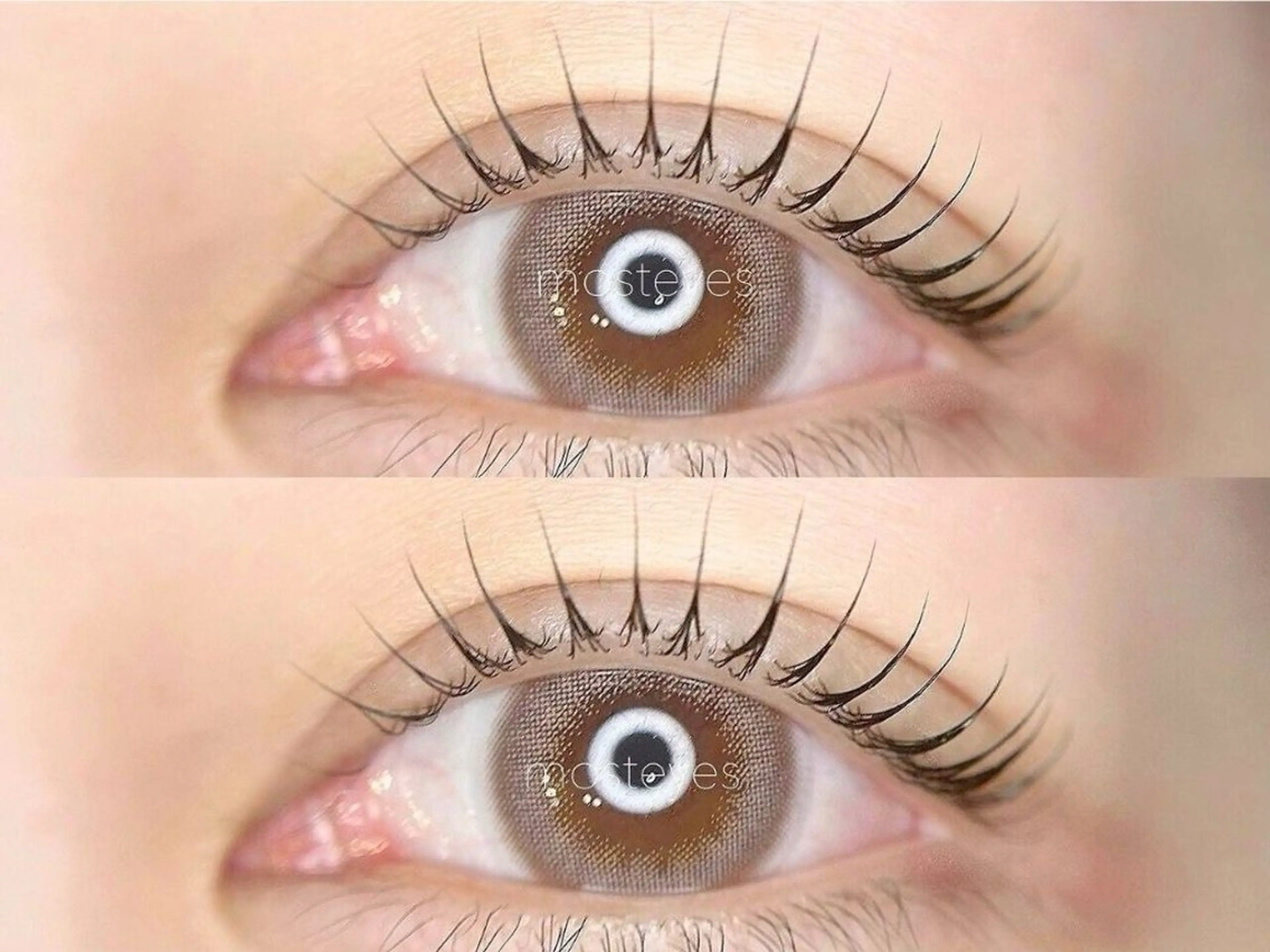 【💎柏店限定💎】まつげパーマ/パリジェンヌ（束間コーティング付き）の写真