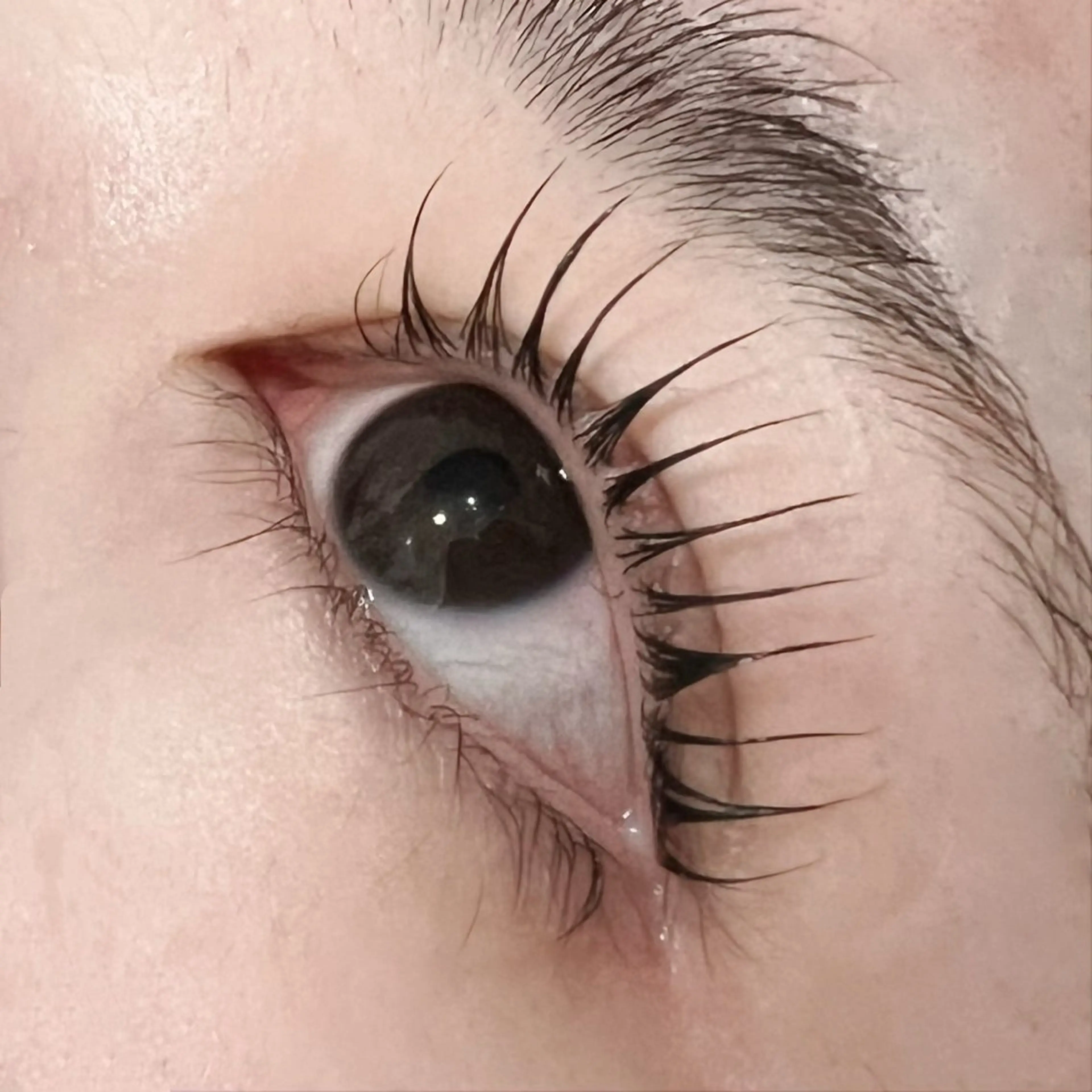 マツエク・マツパ マツパ 小川 🖤のマツエク・マツパデザイン