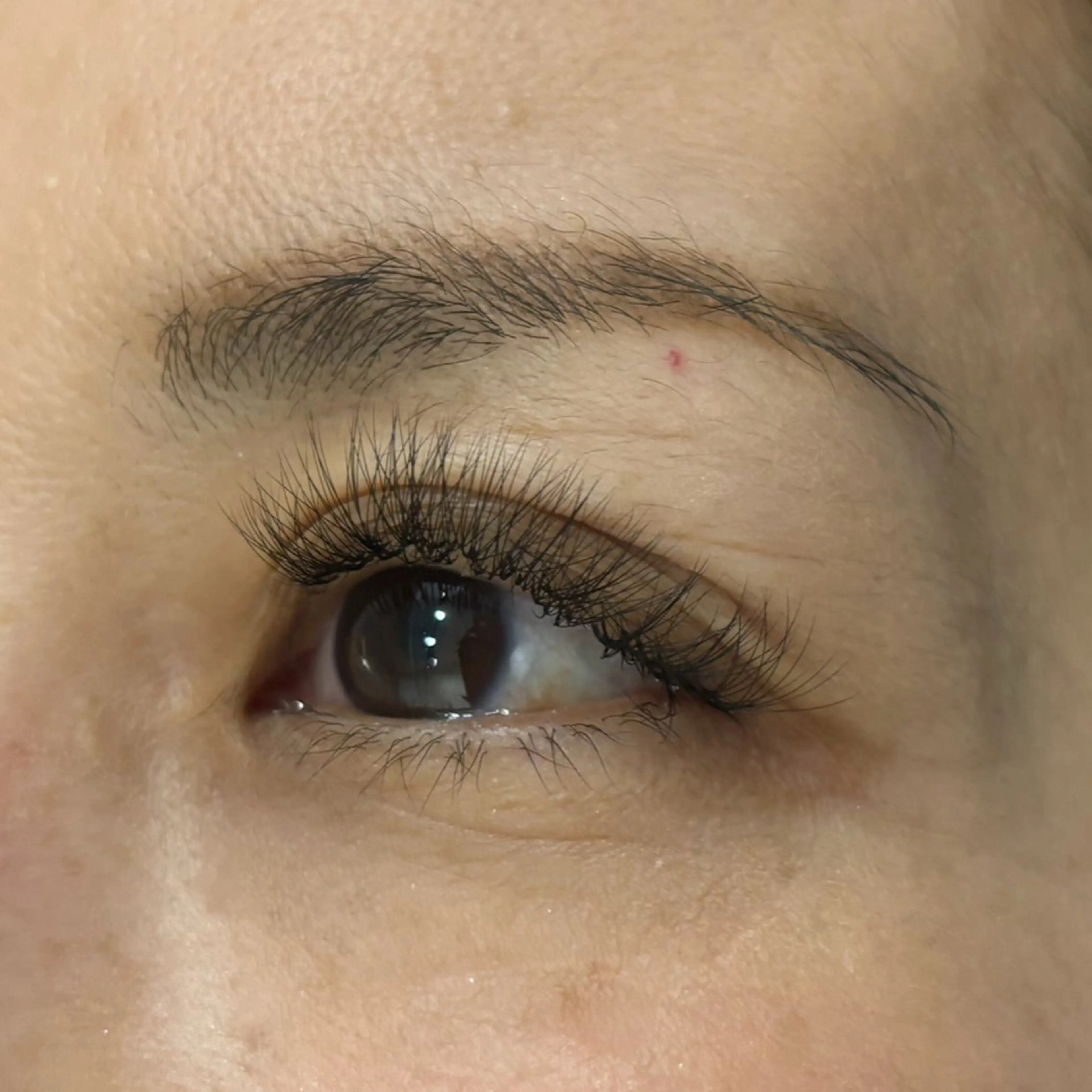 ボリュームラッシュ​〜​100束（300​〜​400本）オフ込みの写真